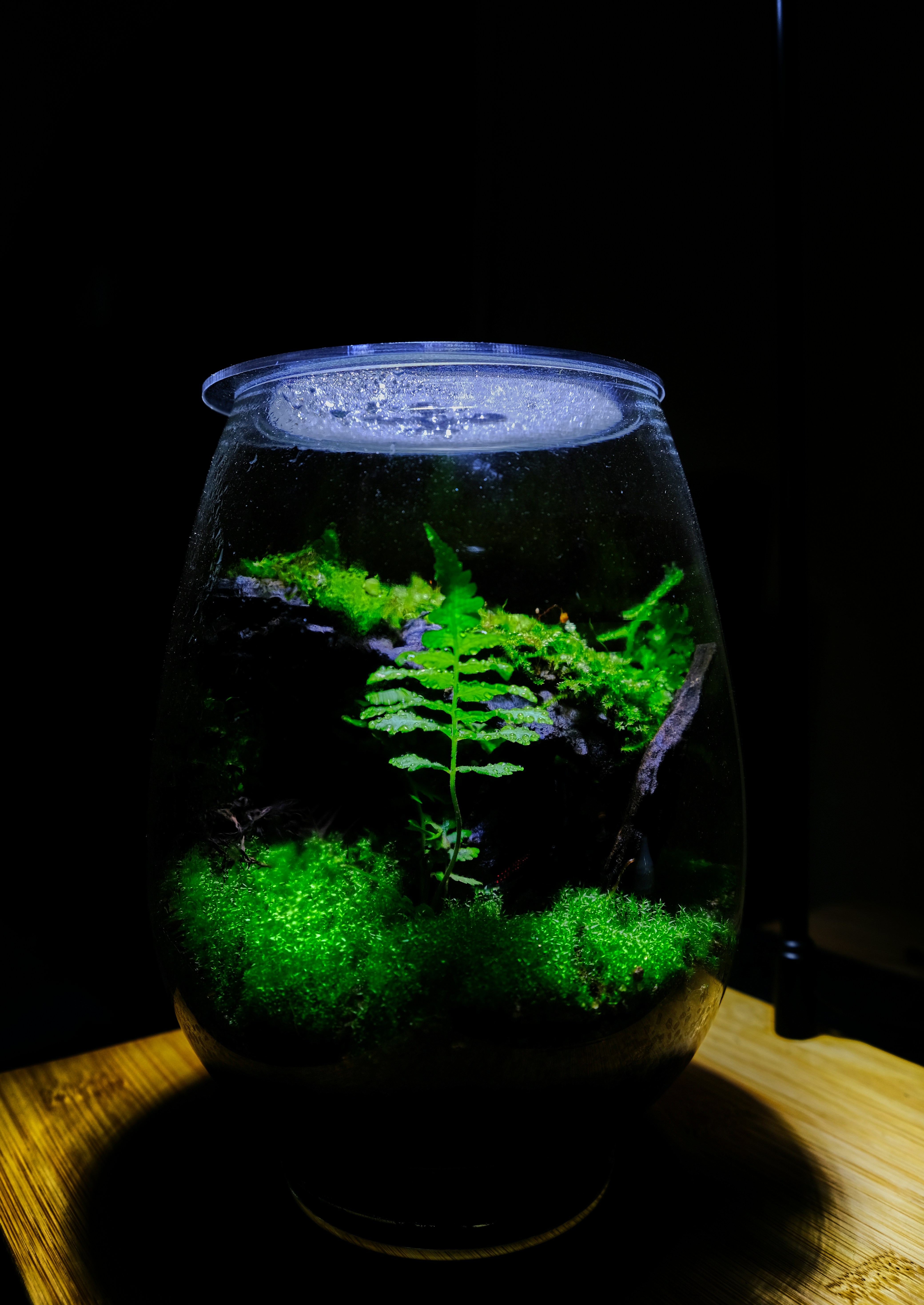 Photo by manhterry93