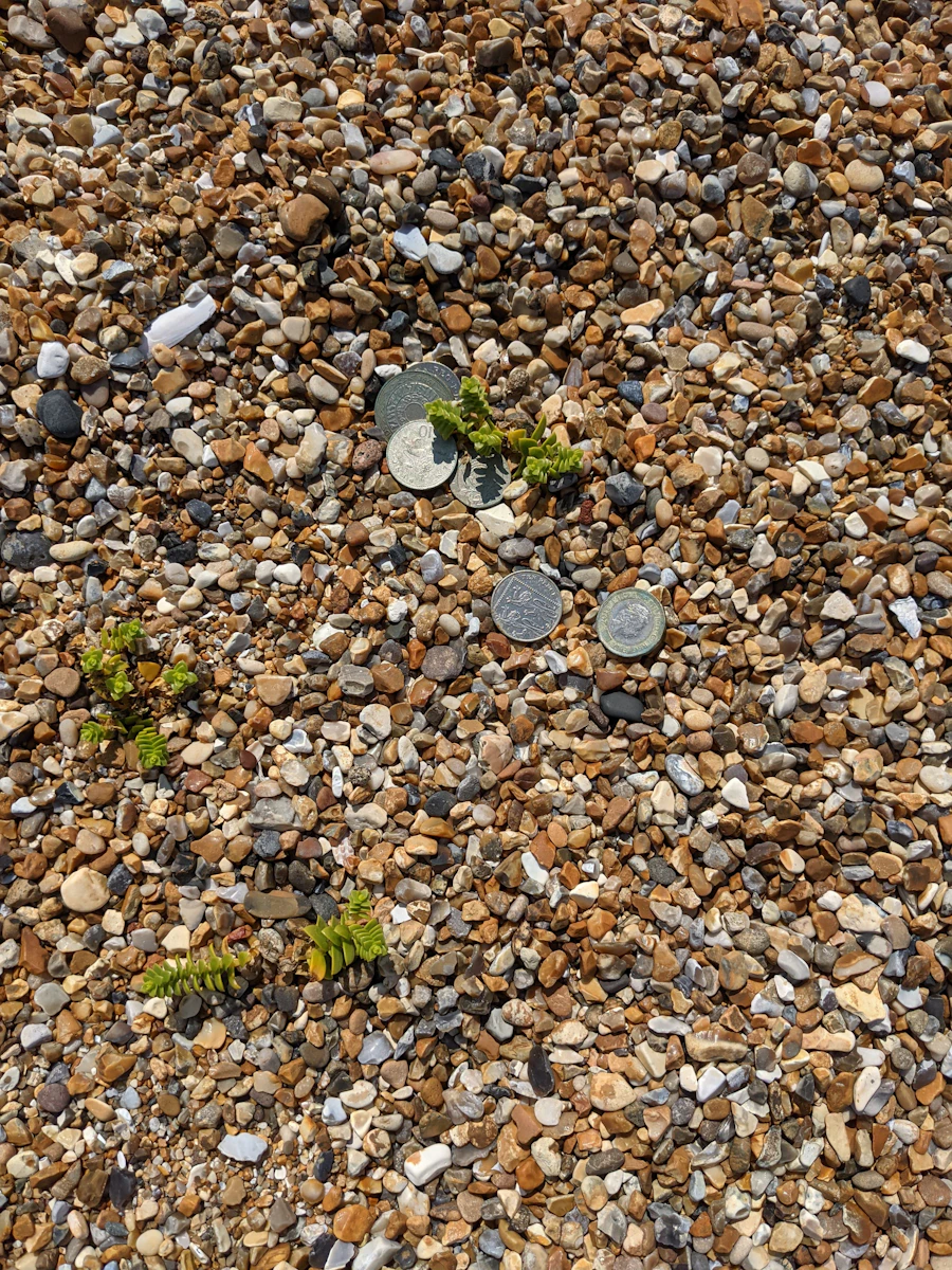 A metal detector