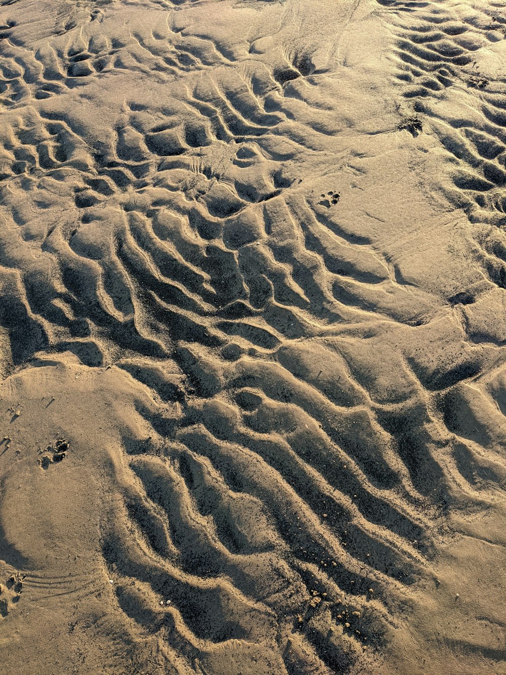 a sandy beach covered in lots of sand