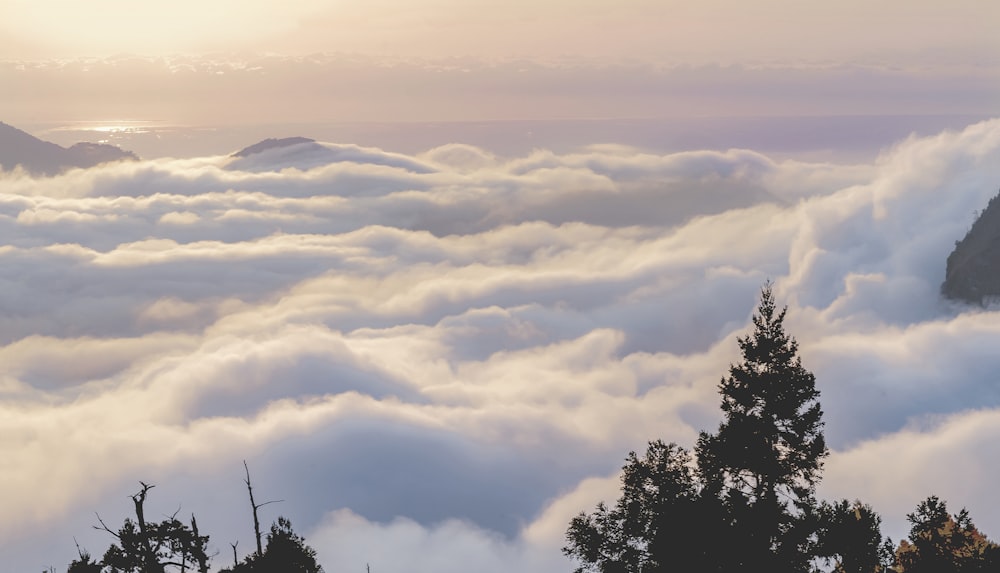 a view of some trees and clouds in the sky