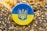 A circular button featuring the Ukrainian coat of arms, with a blue and yellow design, rests on a surface covered in various seeds including sesame and poppy seeds.