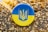 A circular button featuring the Ukrainian coat of arms, with a blue and yellow design, rests on a surface covered in various seeds including sesame and poppy seeds.