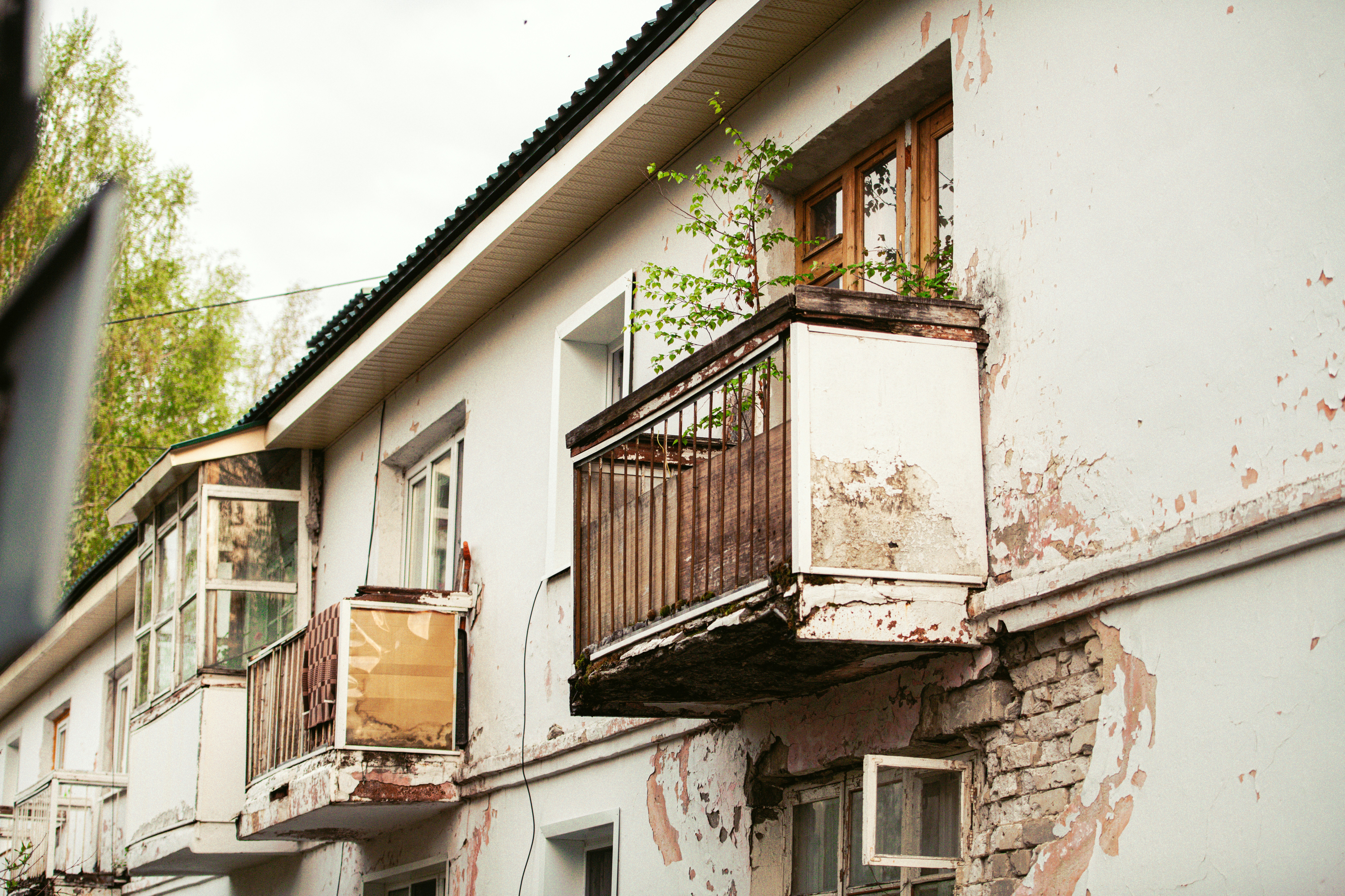 Photo by meduzakos