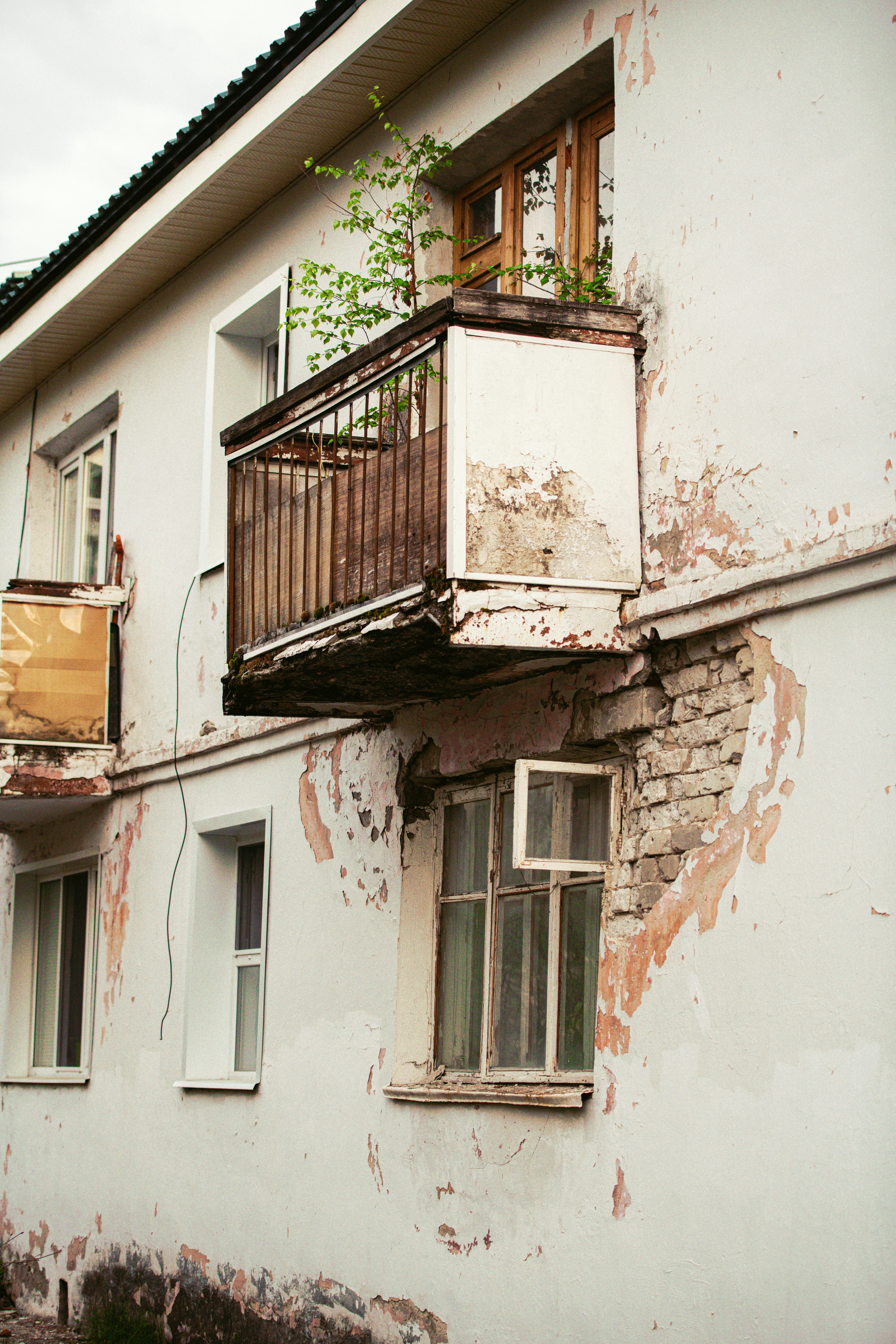 an old building with a balcony and a plant growing out of it