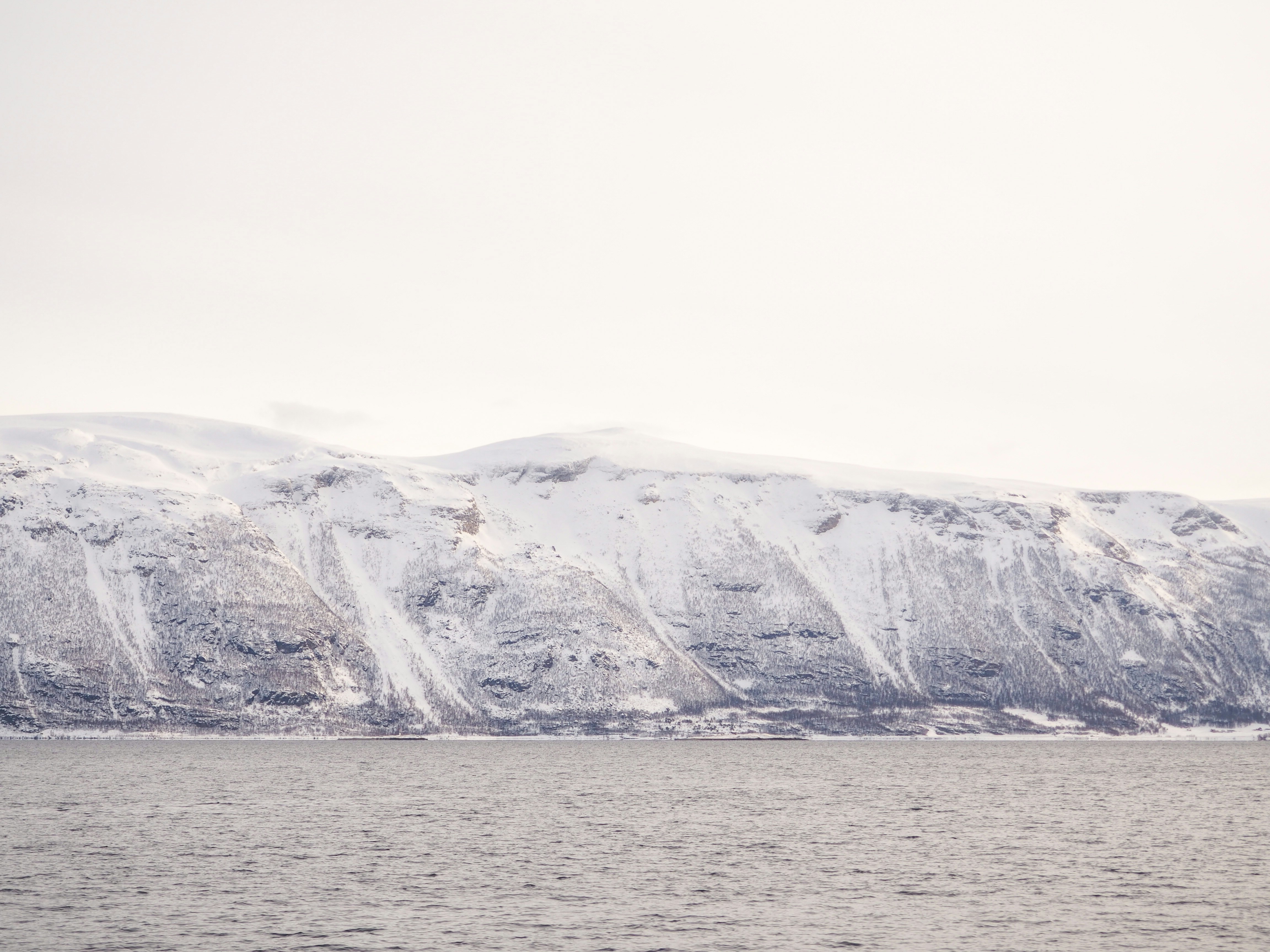 Photo by jesuissabri