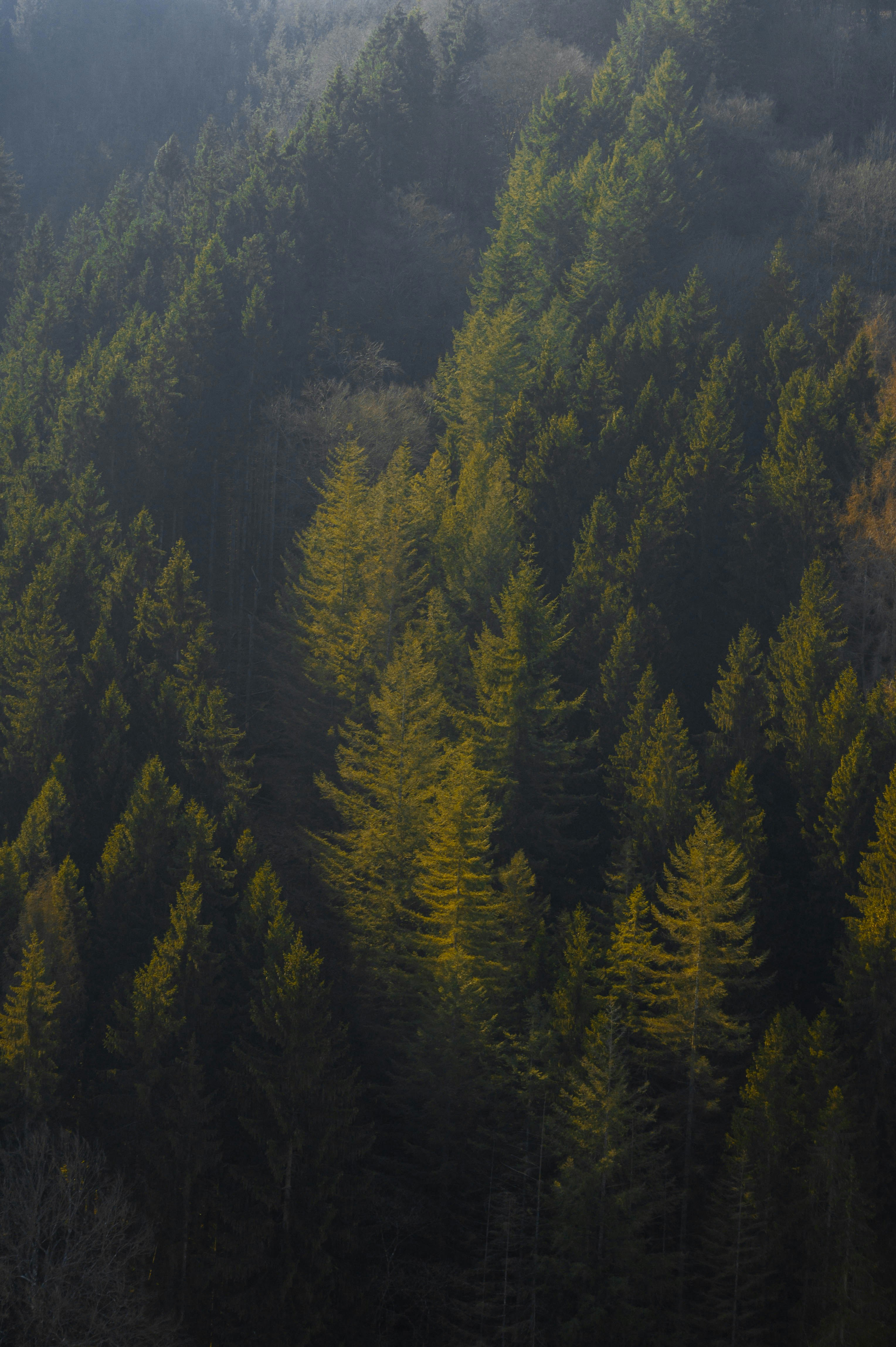 Photo by geikeverniers