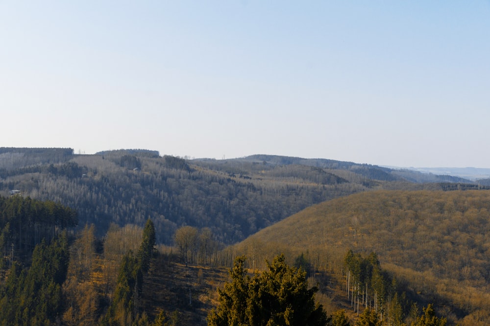 a view of a mountain range with trees in the foreground