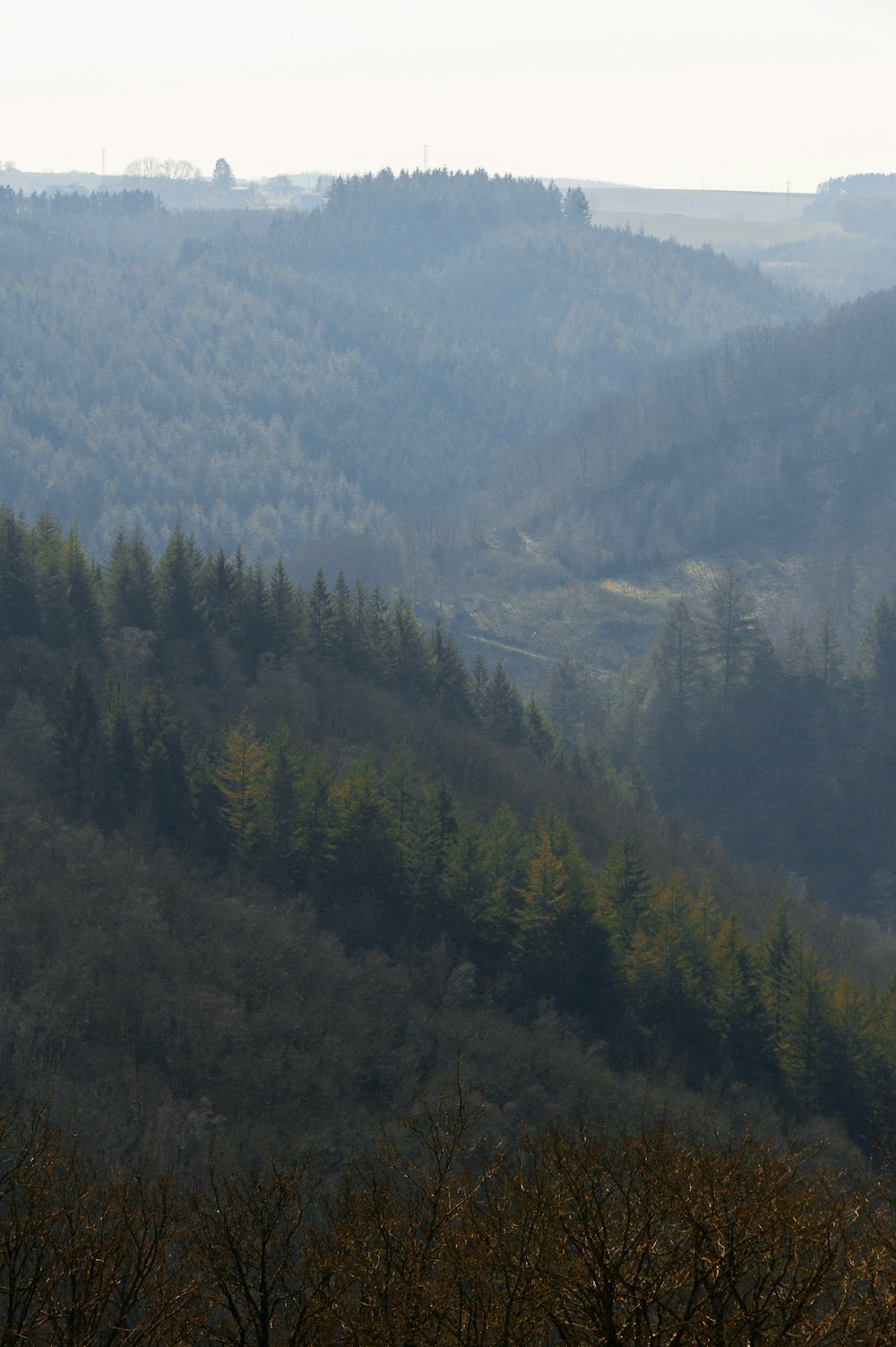 a view of a mountain with trees in the foreground