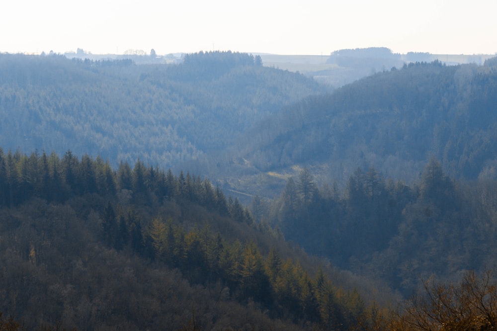 a view of a mountain range with trees in the foreground