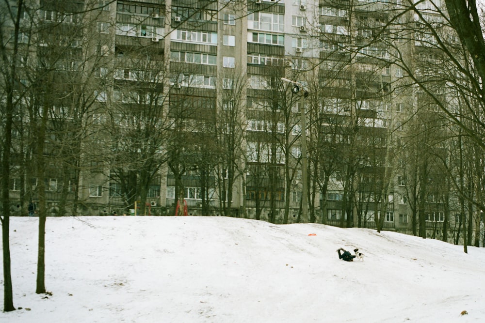a person laying in the snow in front of a tall building