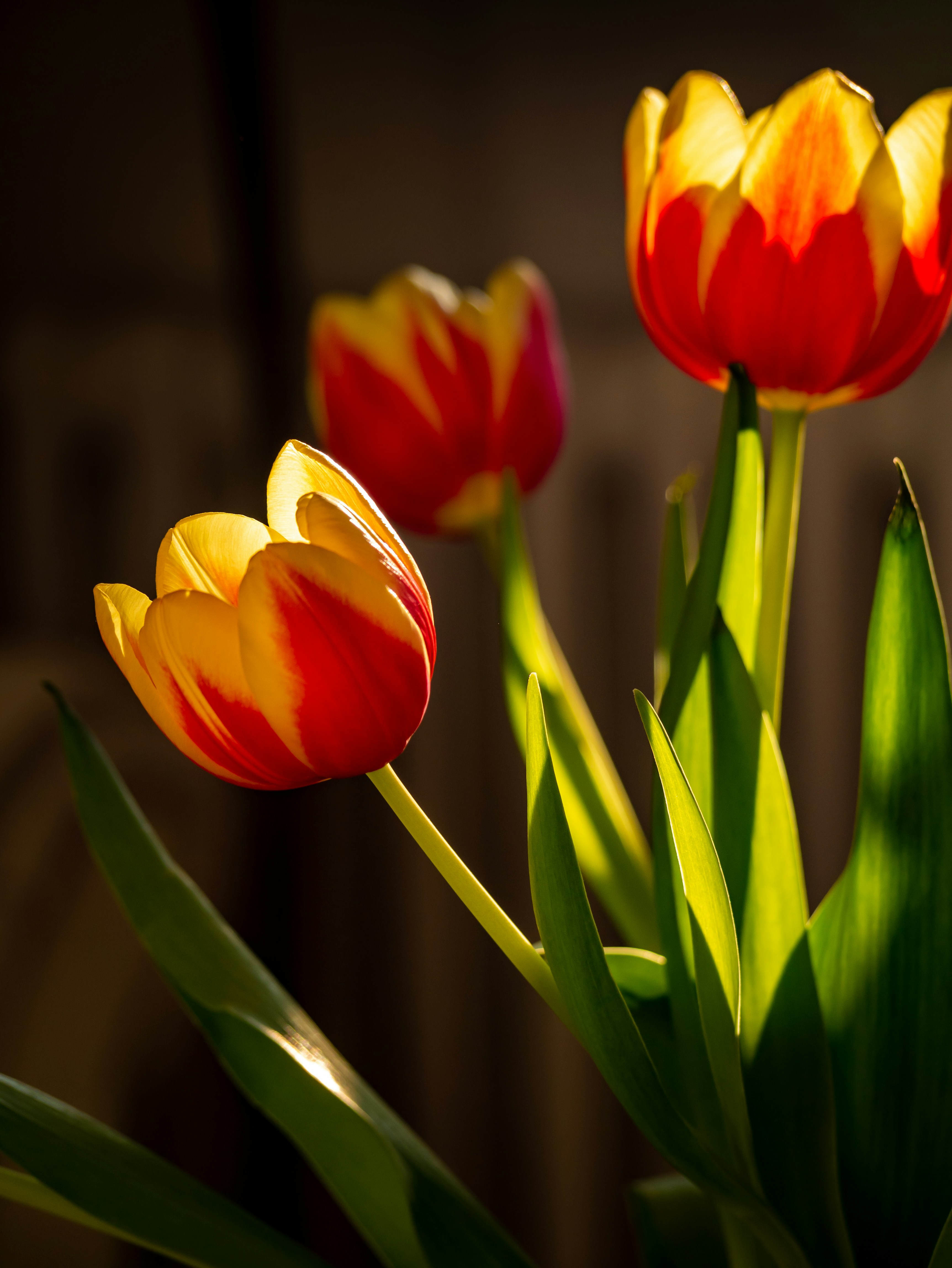 Photo by bilderjaeger