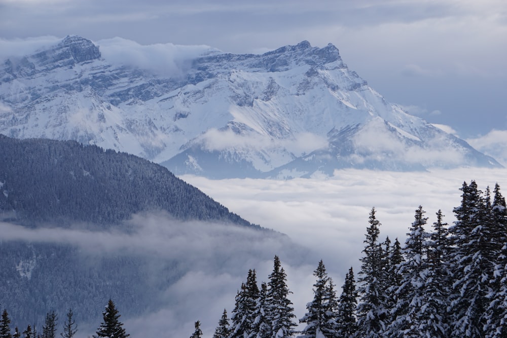 a mountain covered in snow and surrounded by trees