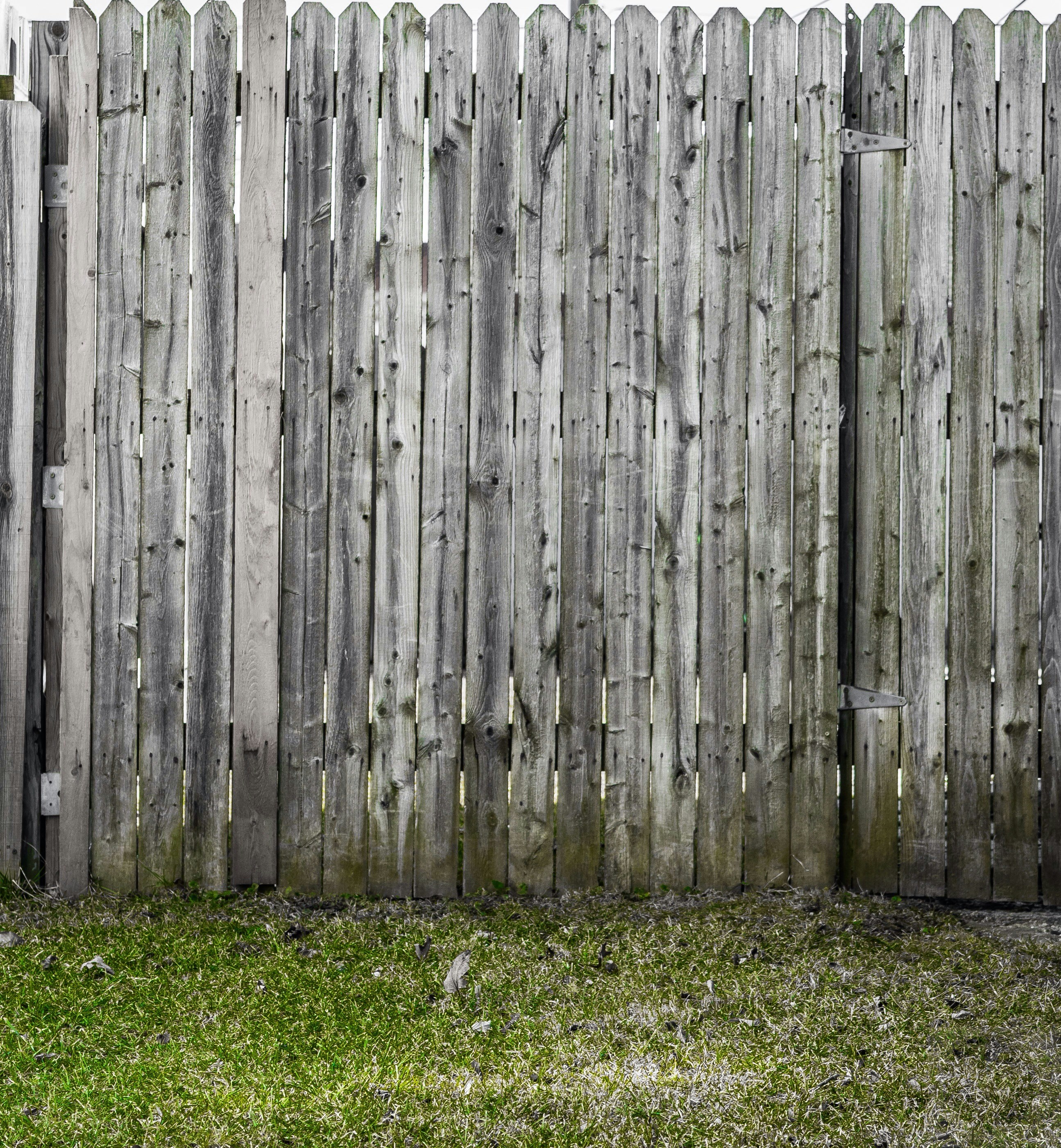 Photo by beatthebizz