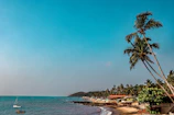 Anjuna Beach, Goa