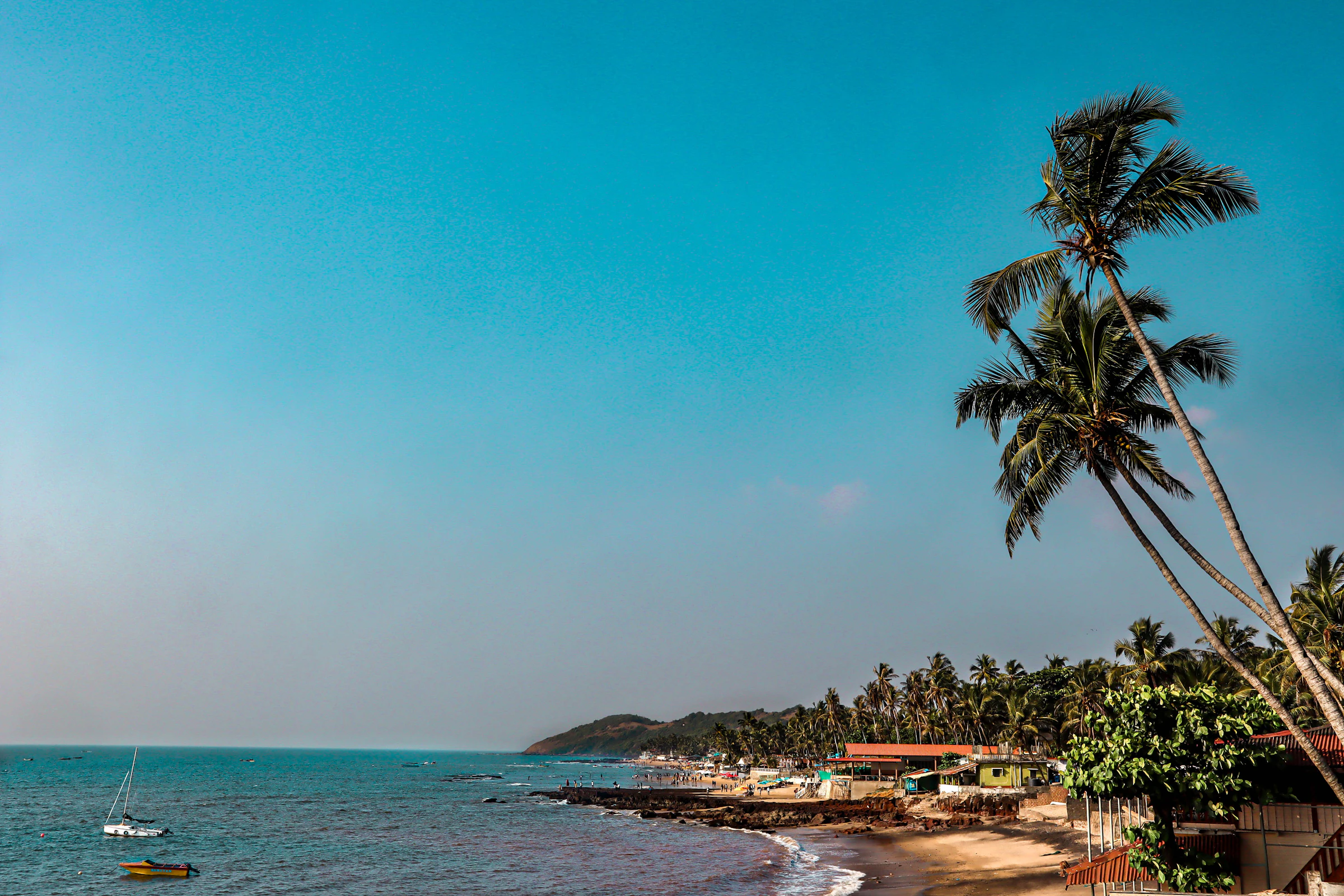 Fishing boat on a palm-fringed Goa beach
