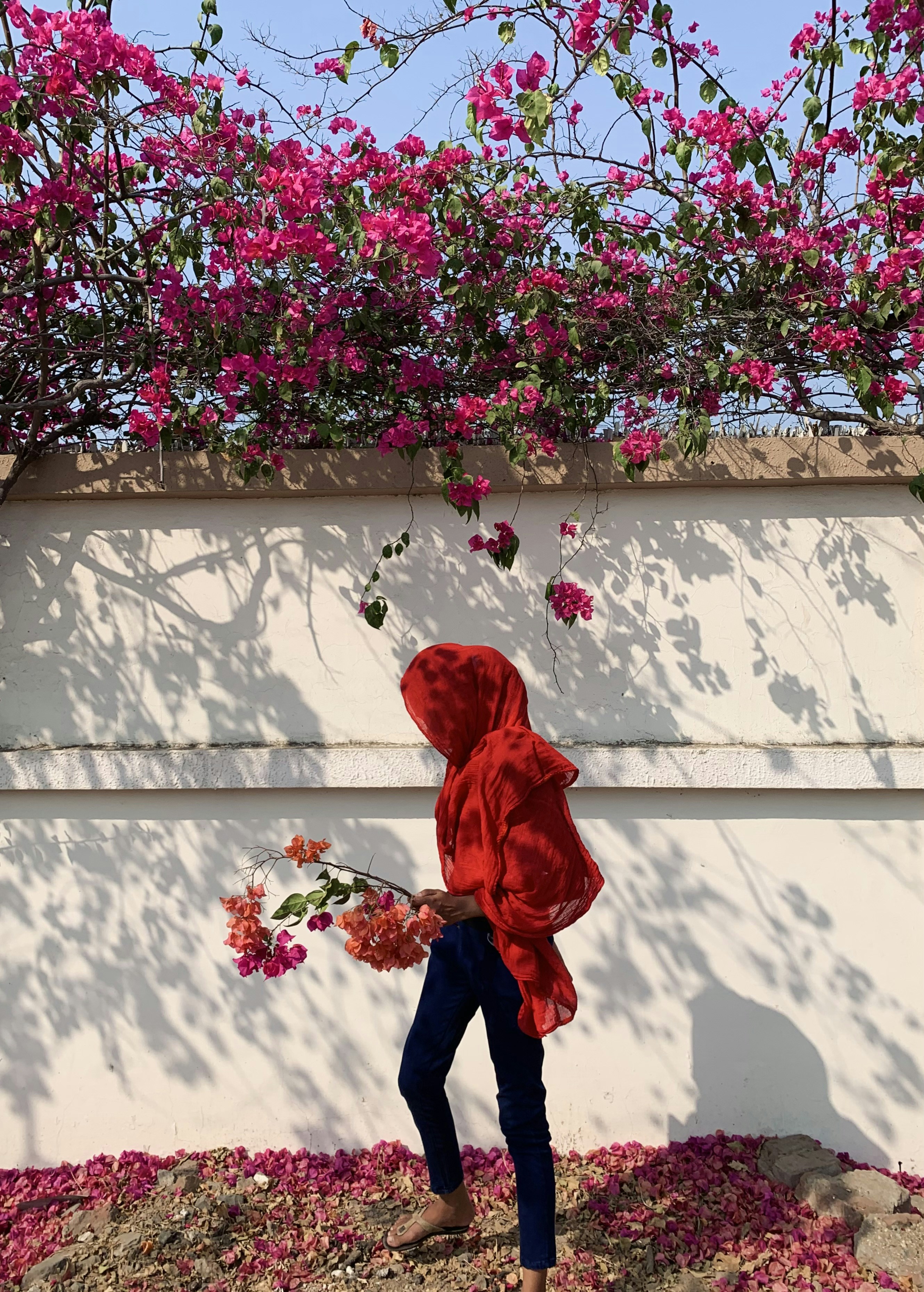 Seorang wanita dengan hoodie merah berjalan di depan dinding dengan bunga merah muda