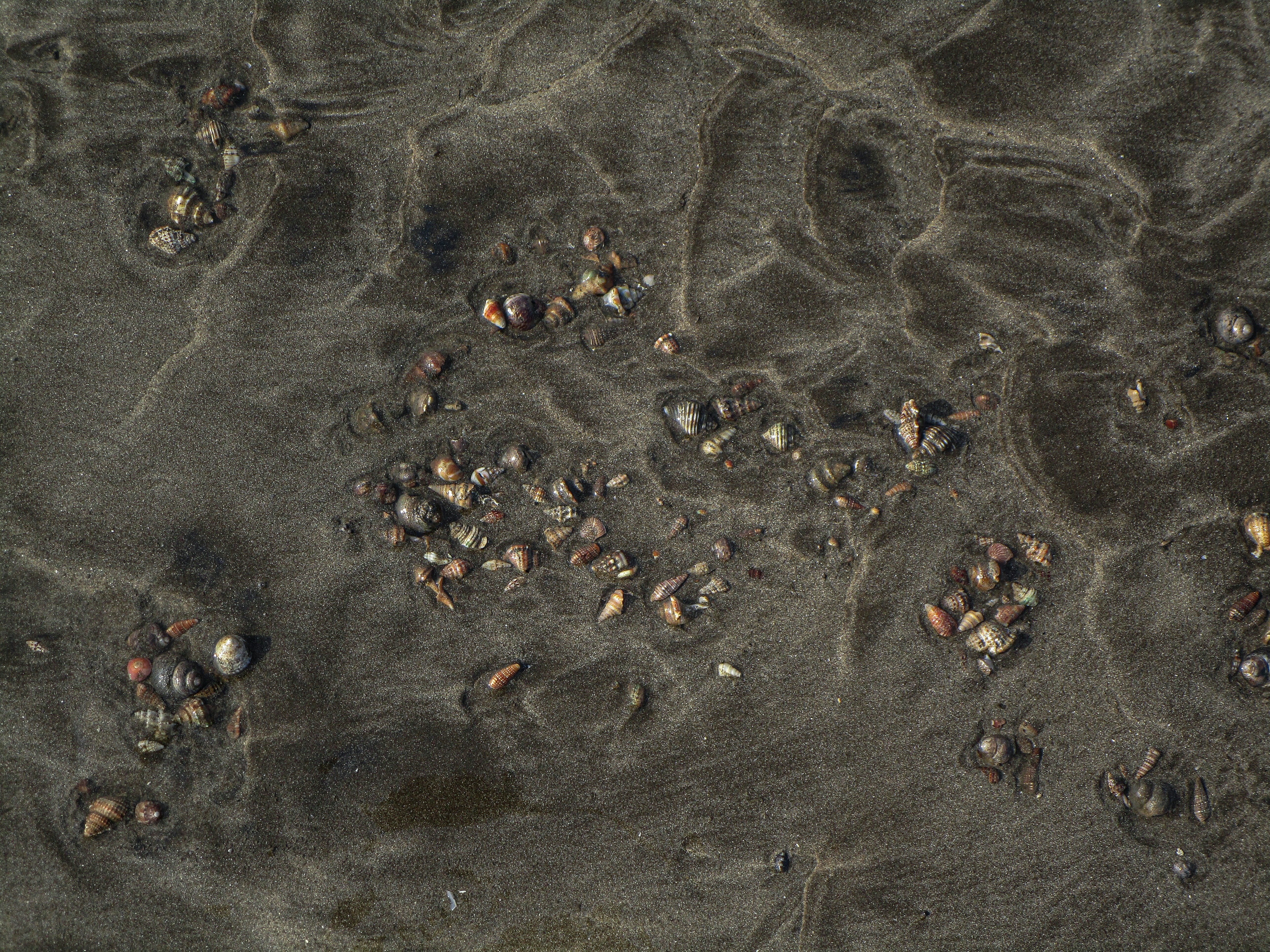 Photo by aashishchindaliya