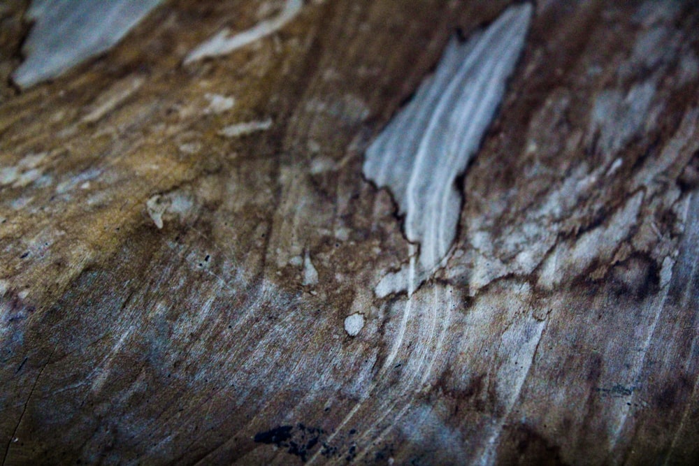 a close up of a piece of wood with peeling paint