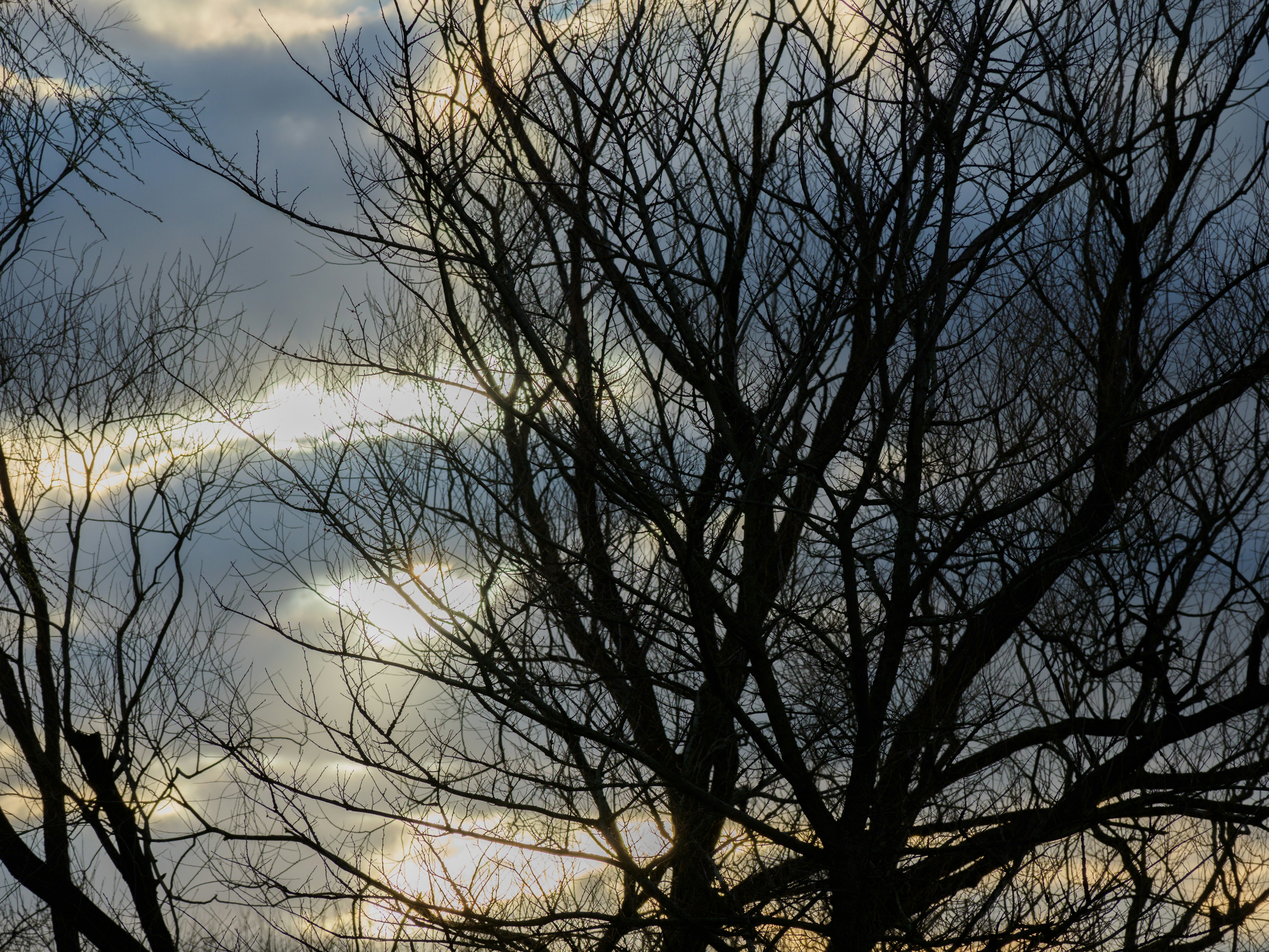 Photo by brett_jordan