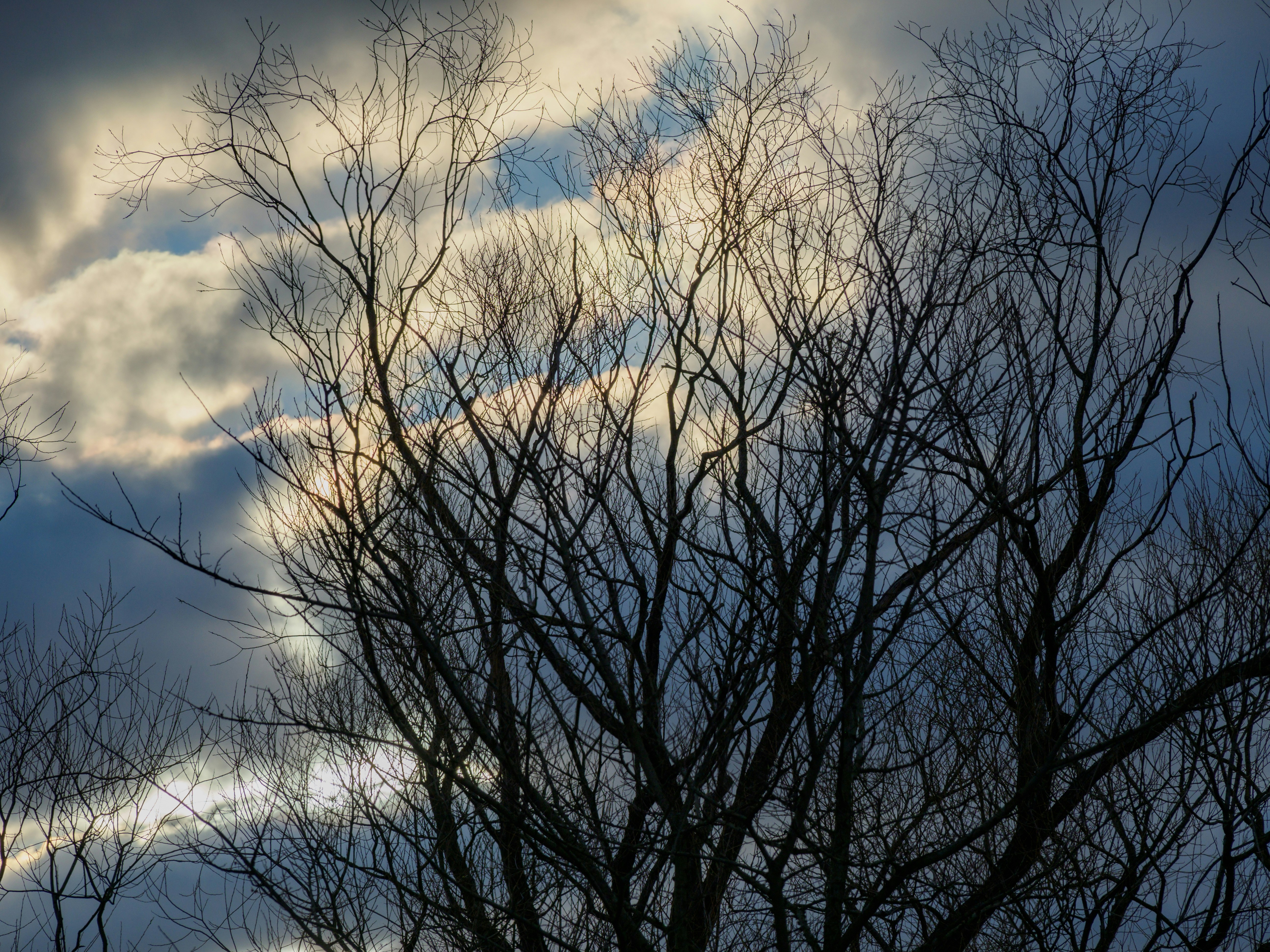 Photo by brett_jordan