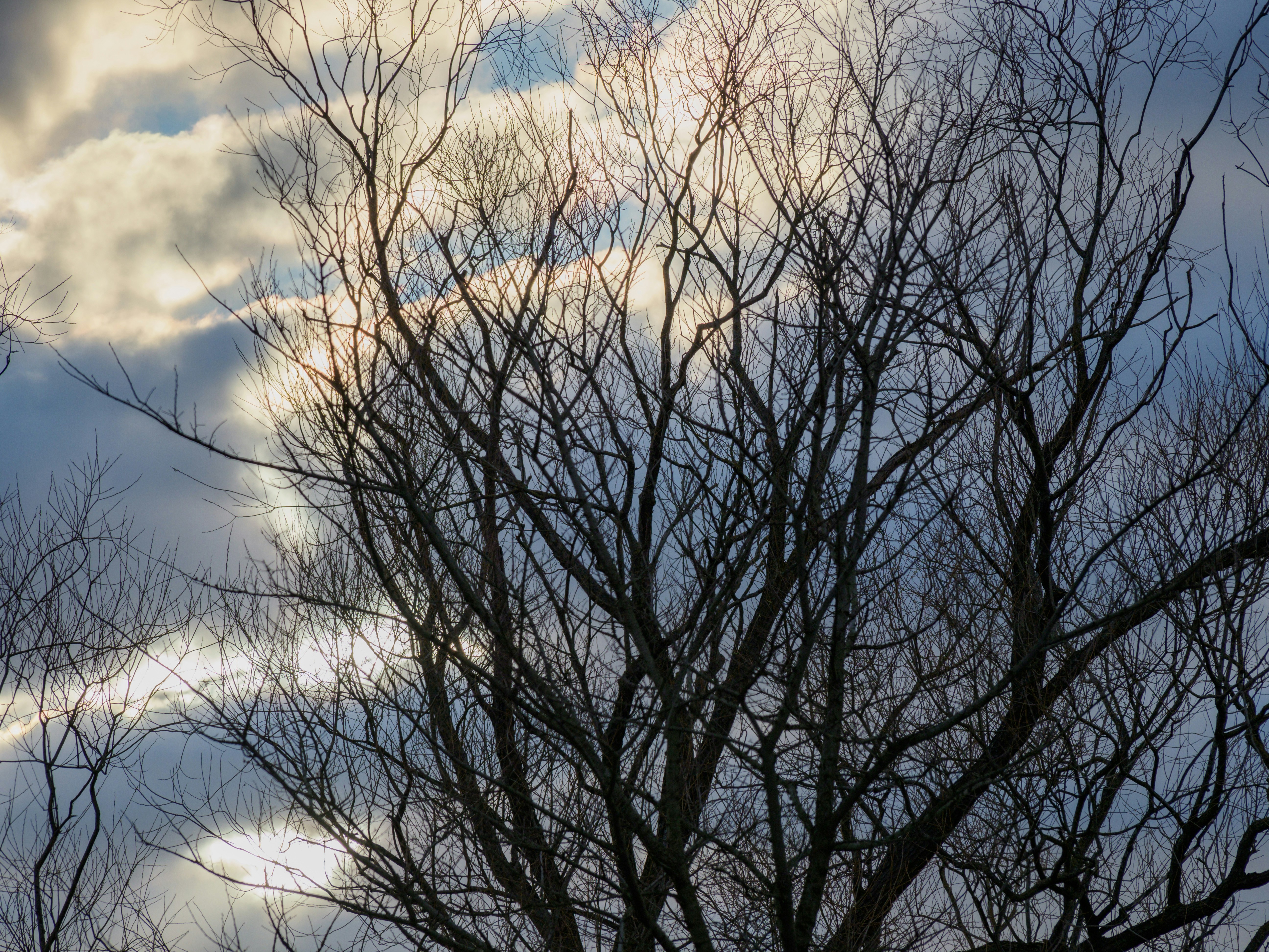 Photo by brett_jordan