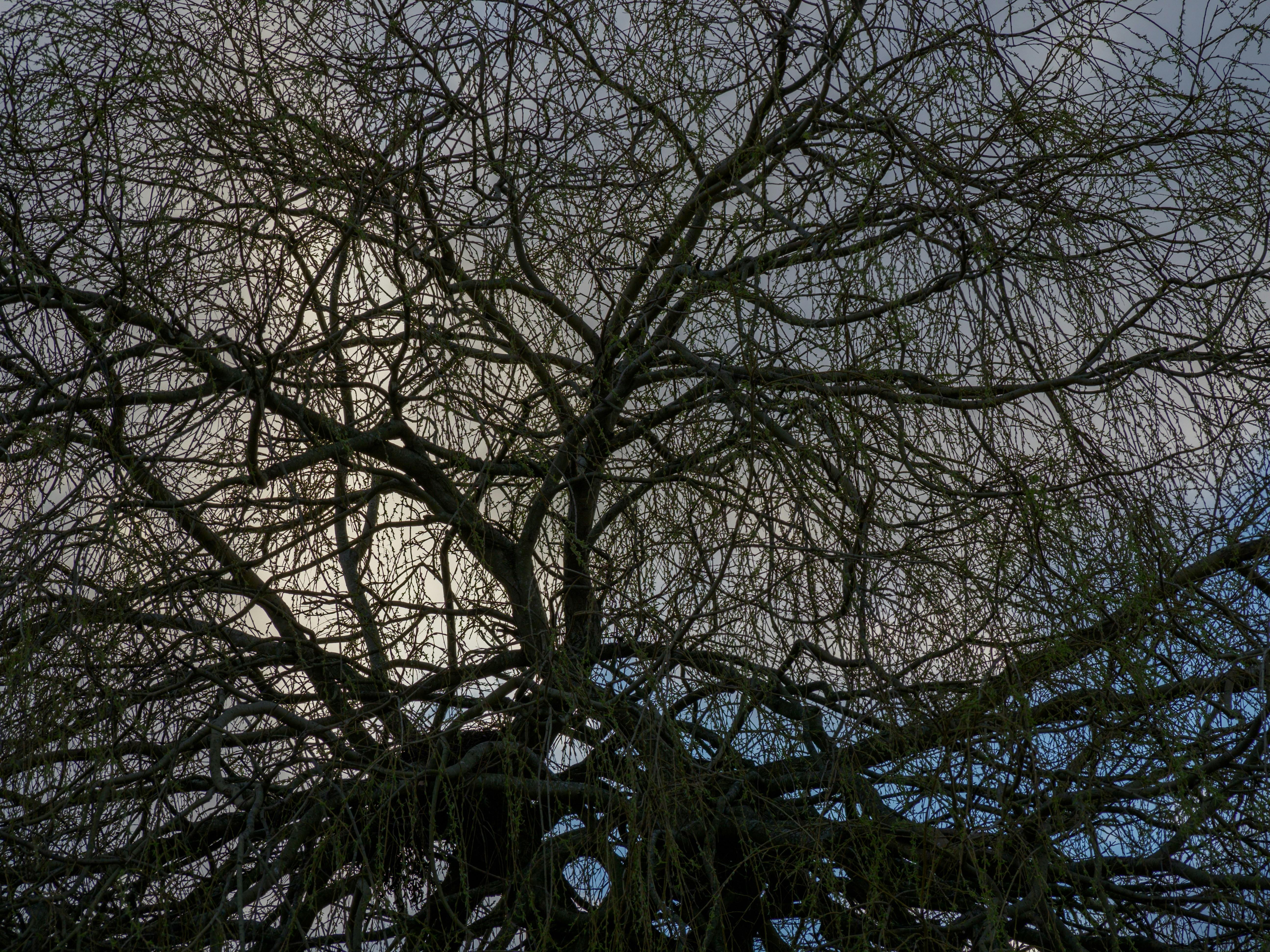 Photo by brett_jordan