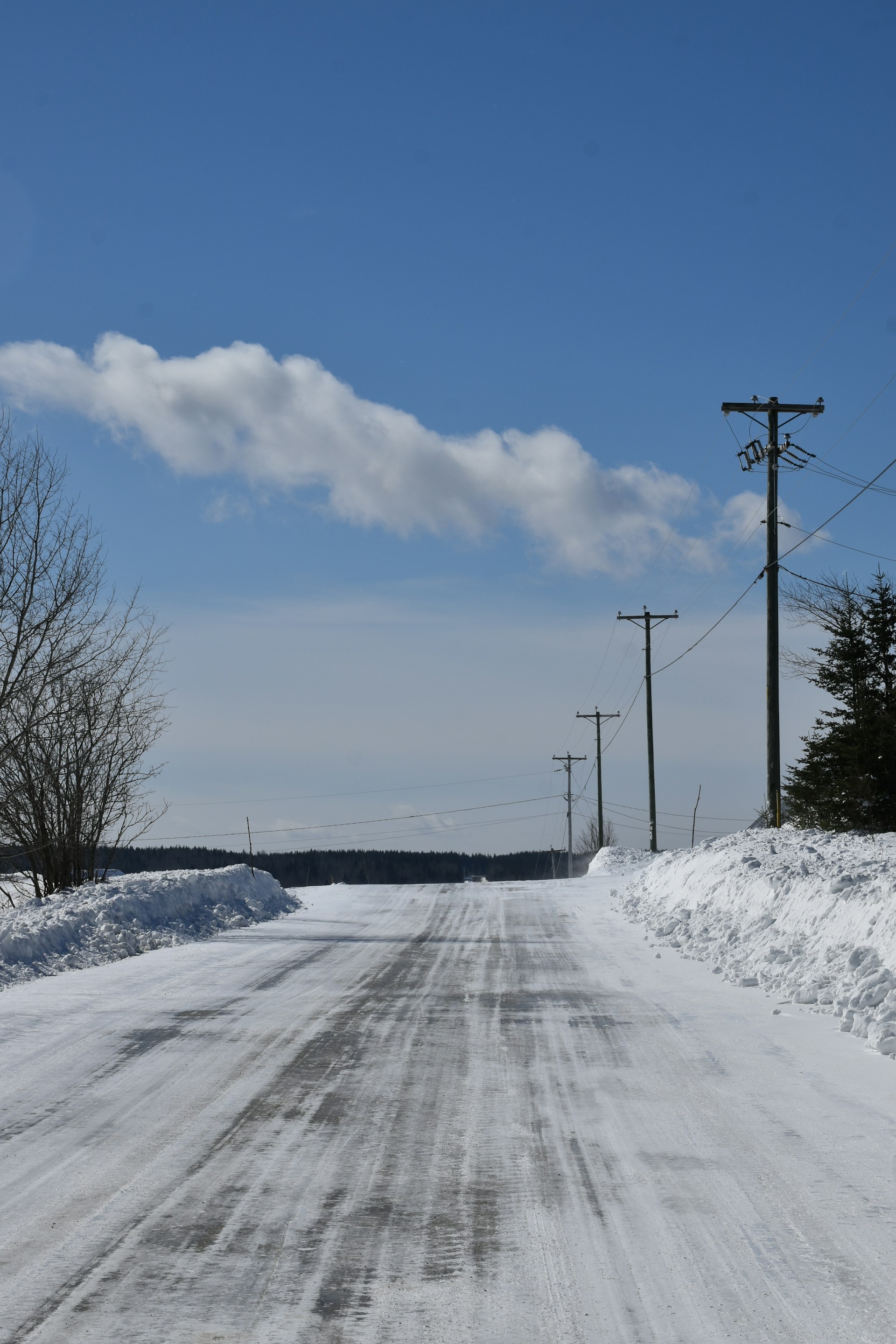 a snow covered road with power lines and telephone poles