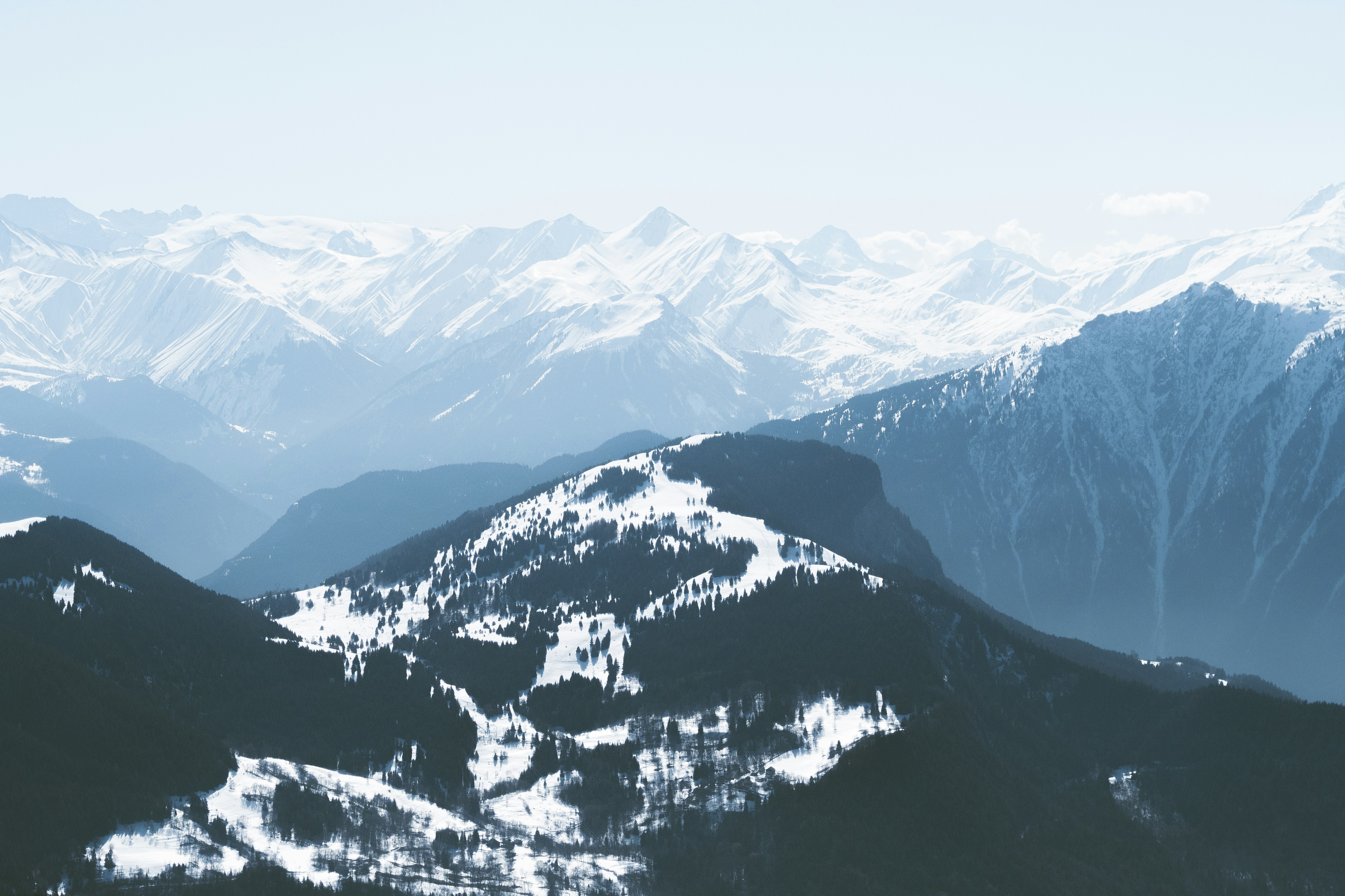 Photo by sirisvisual