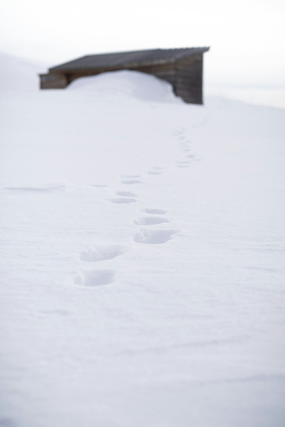 a bench sitting on top of a snow covered slope