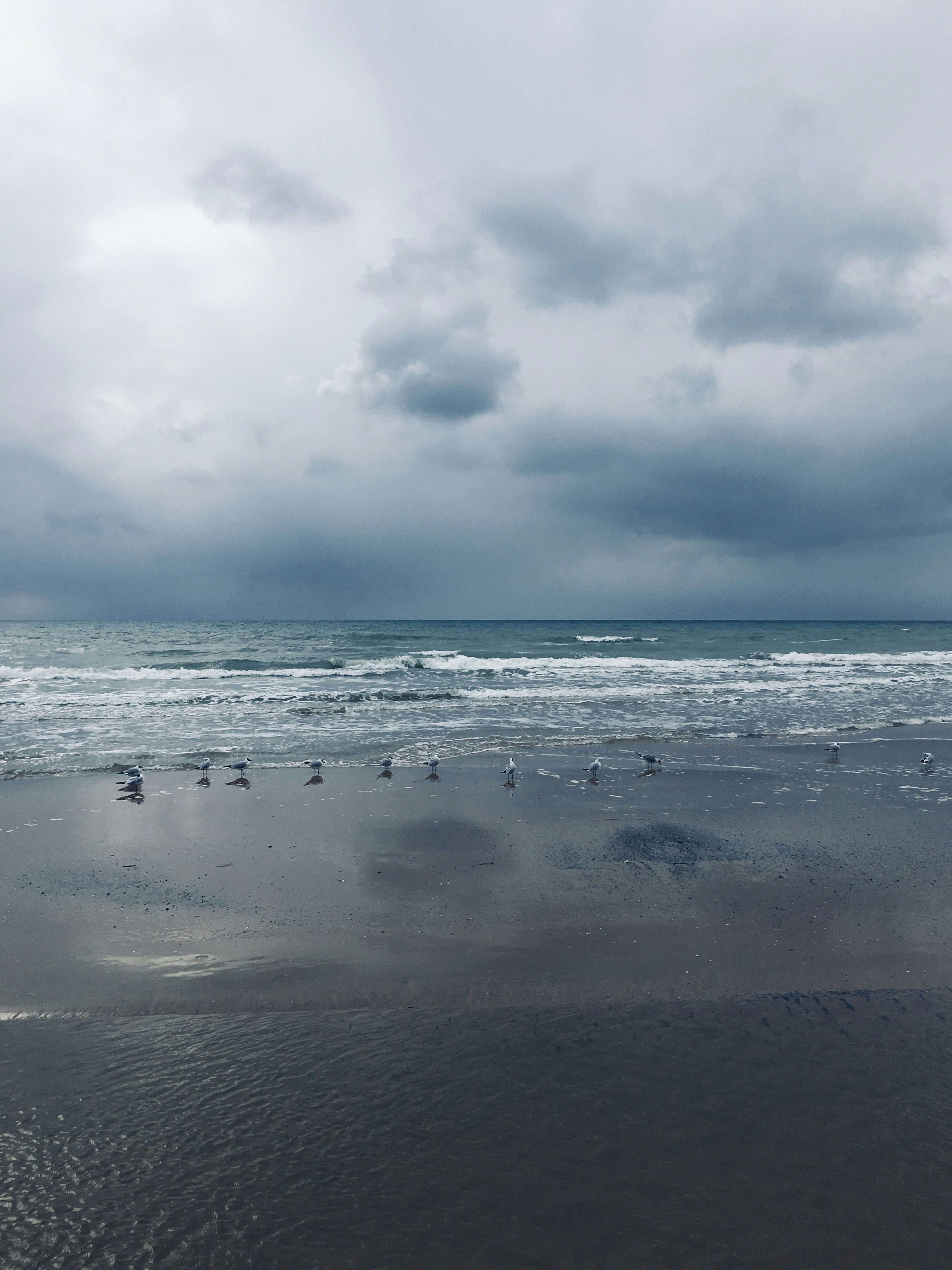 Photo by mari_sabatini