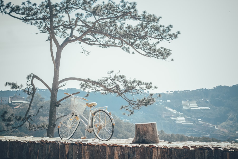 a bicycle parked next to a tree stump