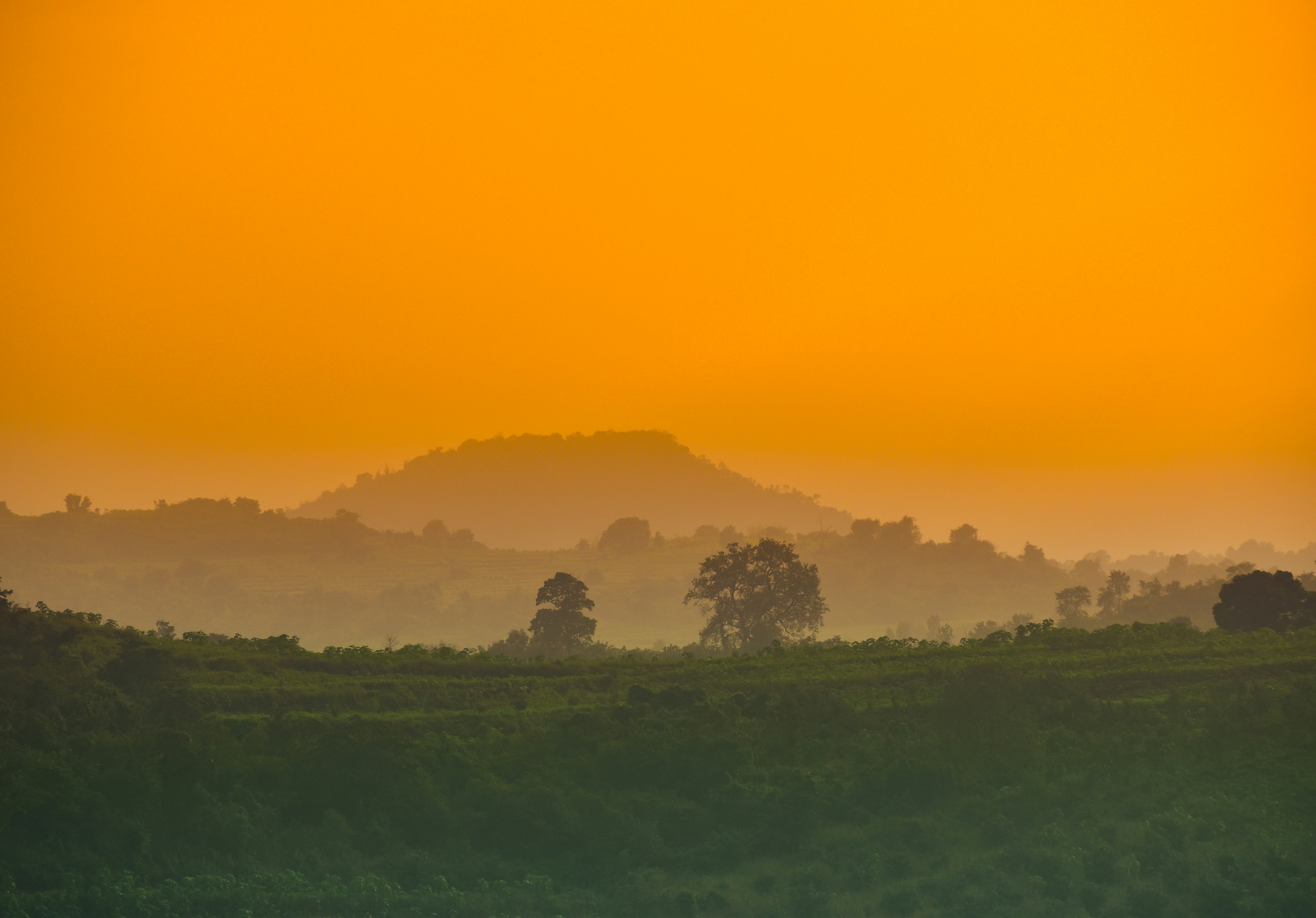 Photo by navi_photography