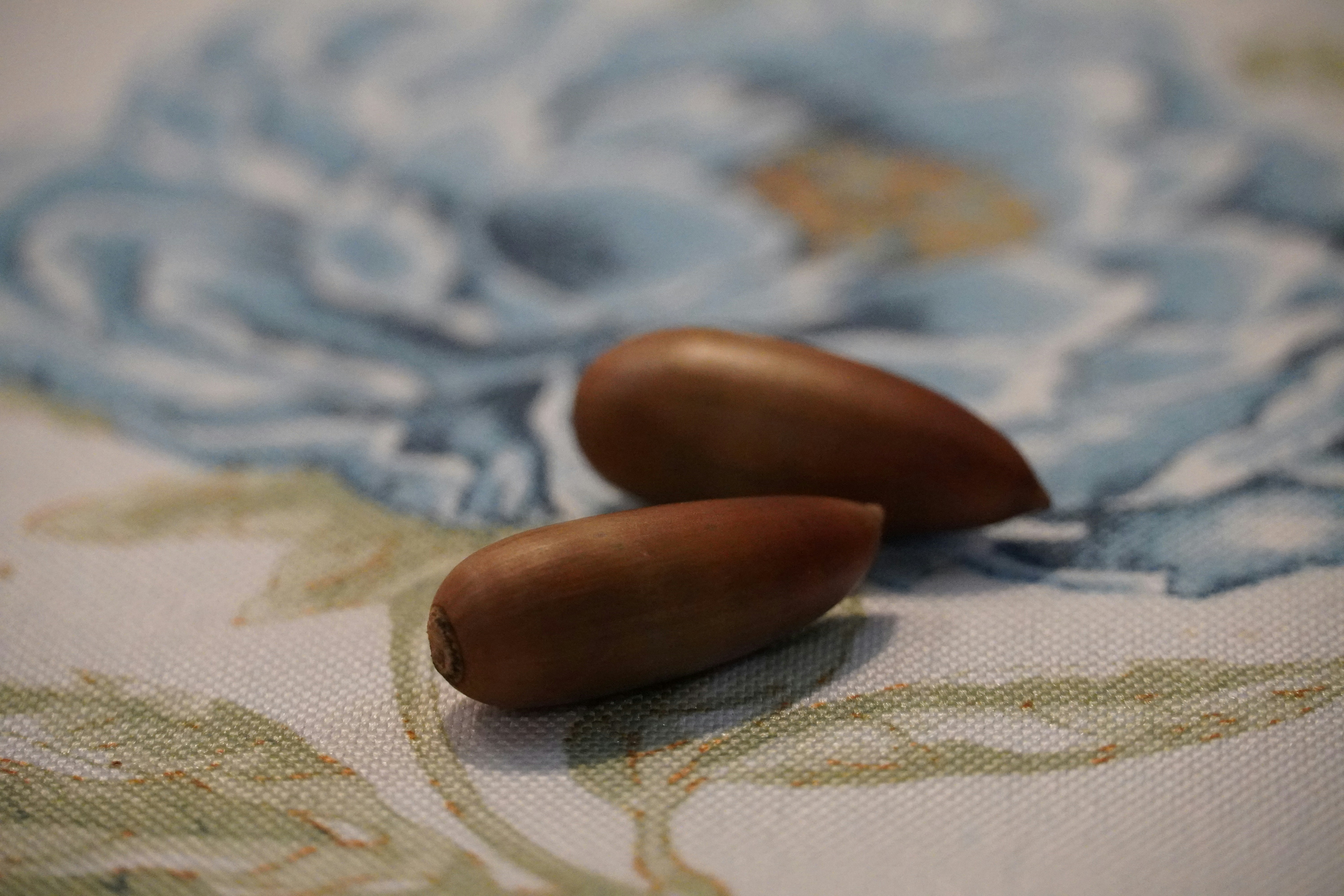 two almonds sitting on top of a table cloth