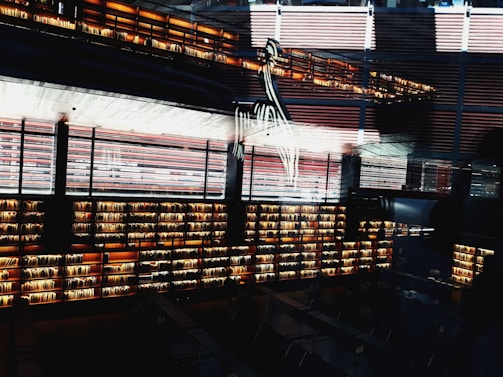A modern library interior with multiple rows of books arranged on illuminated shelves. The structure features a large open space with a blend of dark and warm colors, highlighting the contrast between the wooden shelves and metallic elements.