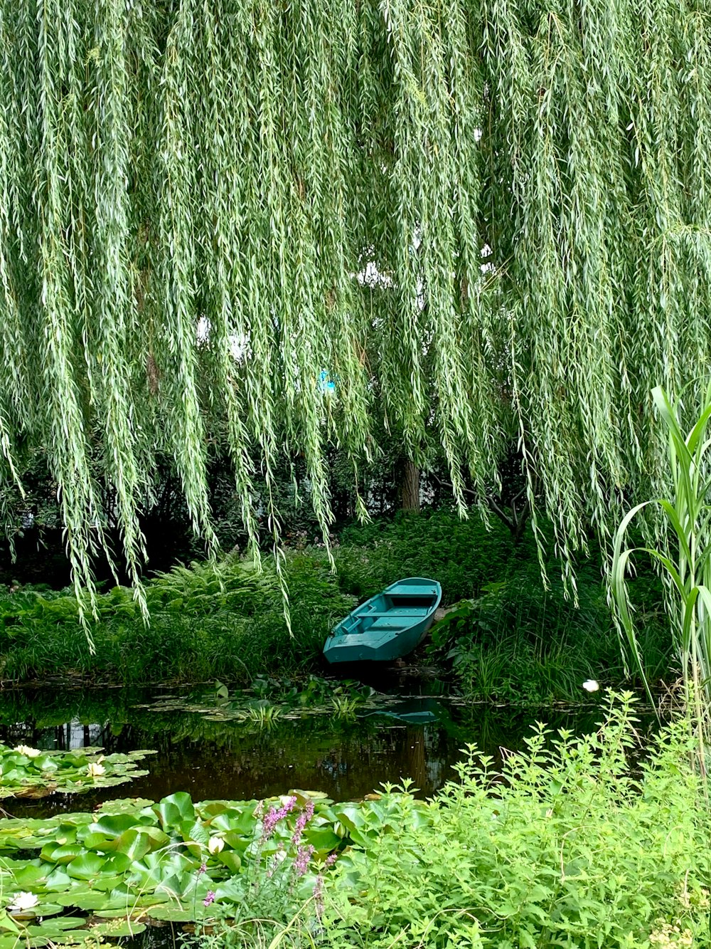 a boat is sitting in the water under a willow tree