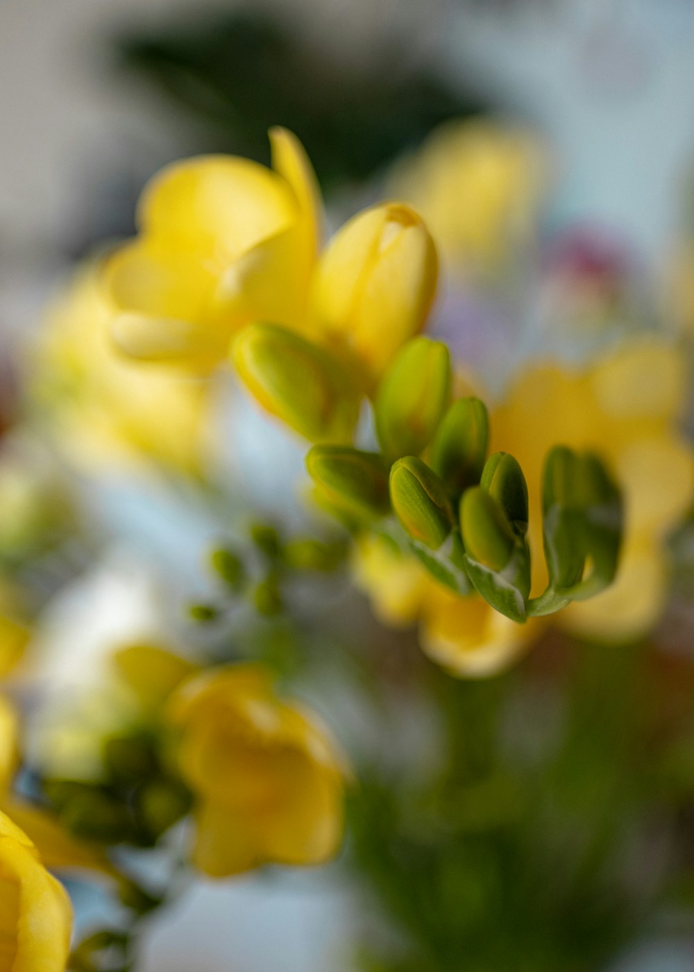 a bunch of yellow flowers in a vase