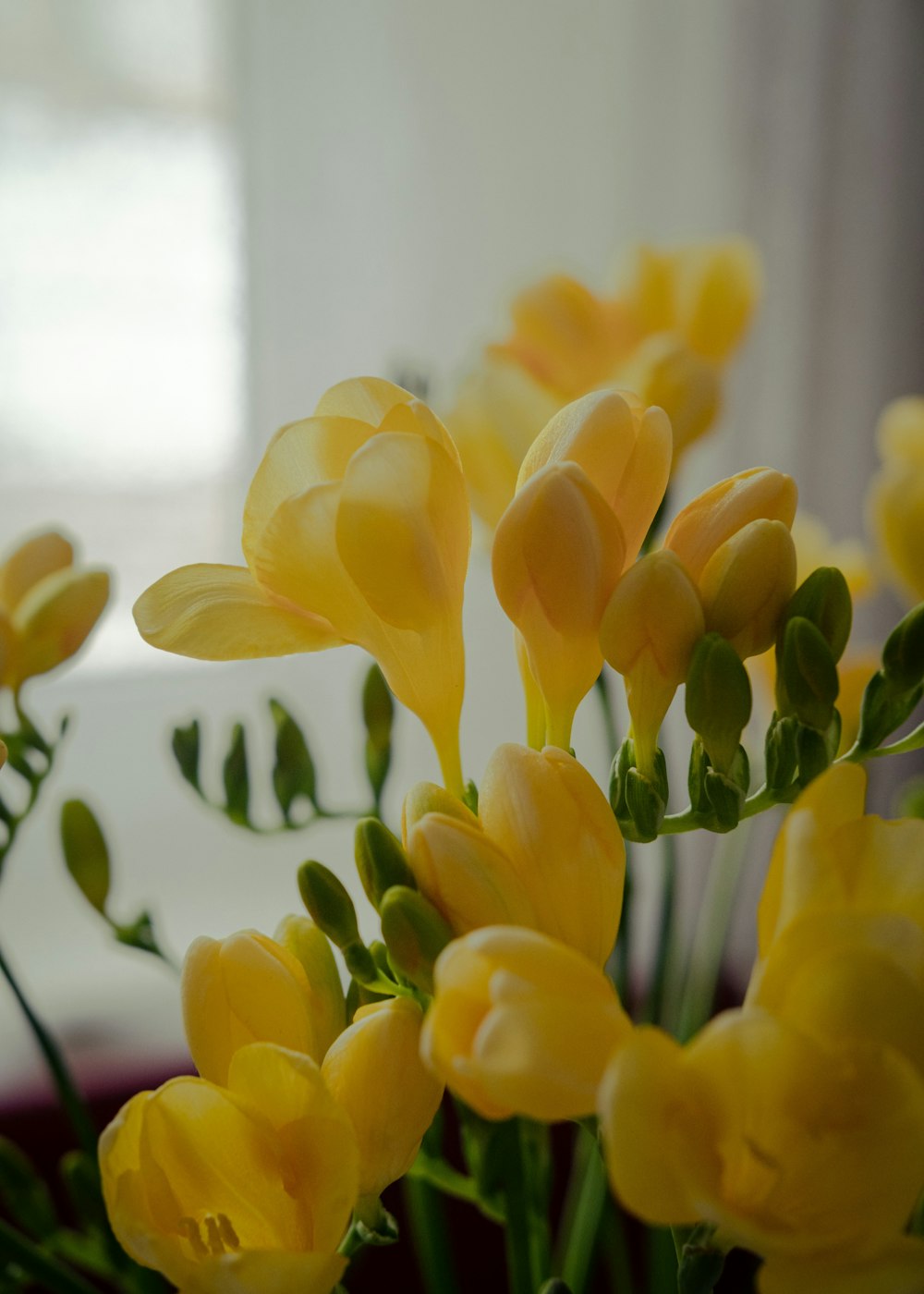 a vase filled with yellow flowers on top of a table