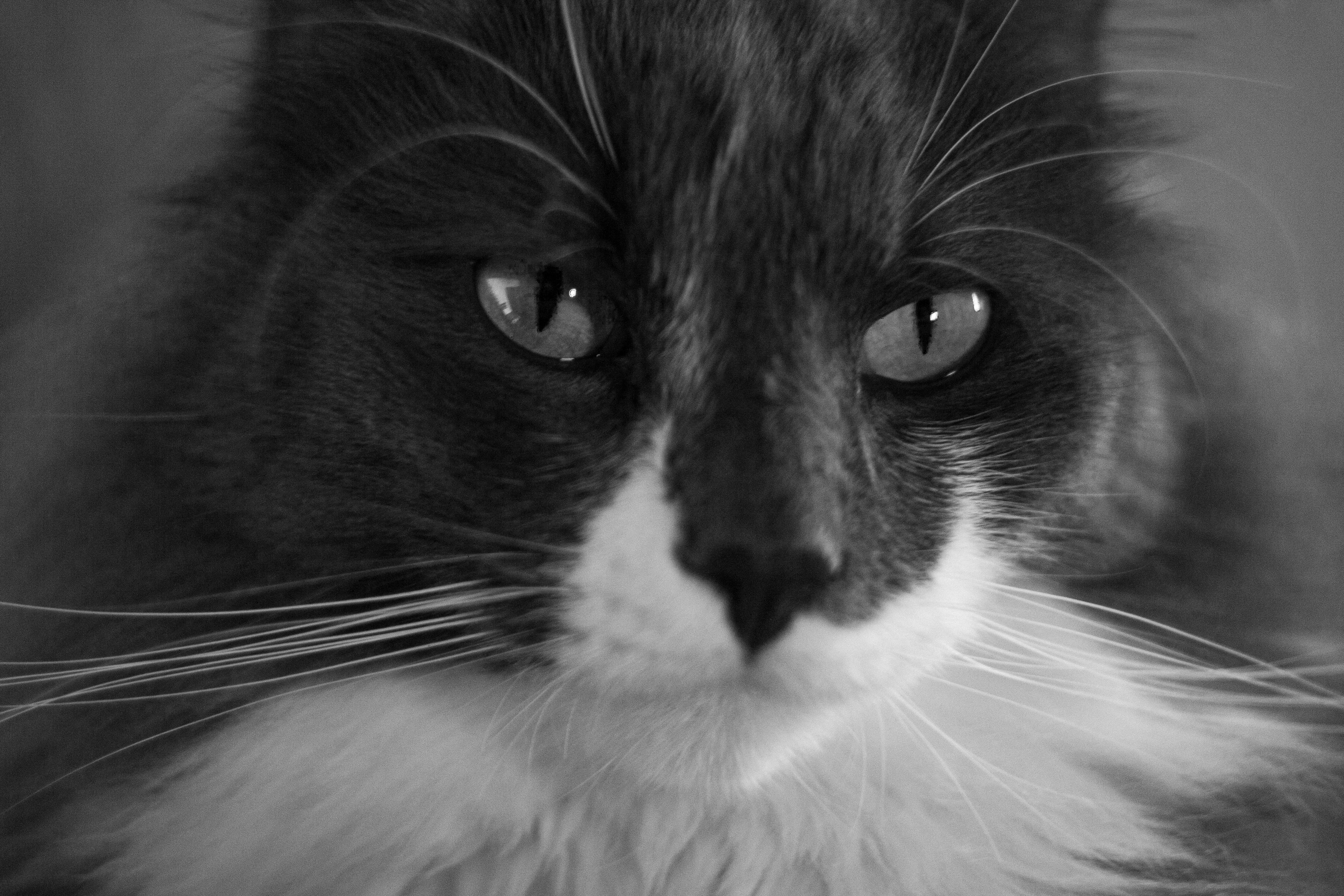 Photo by antohakraev