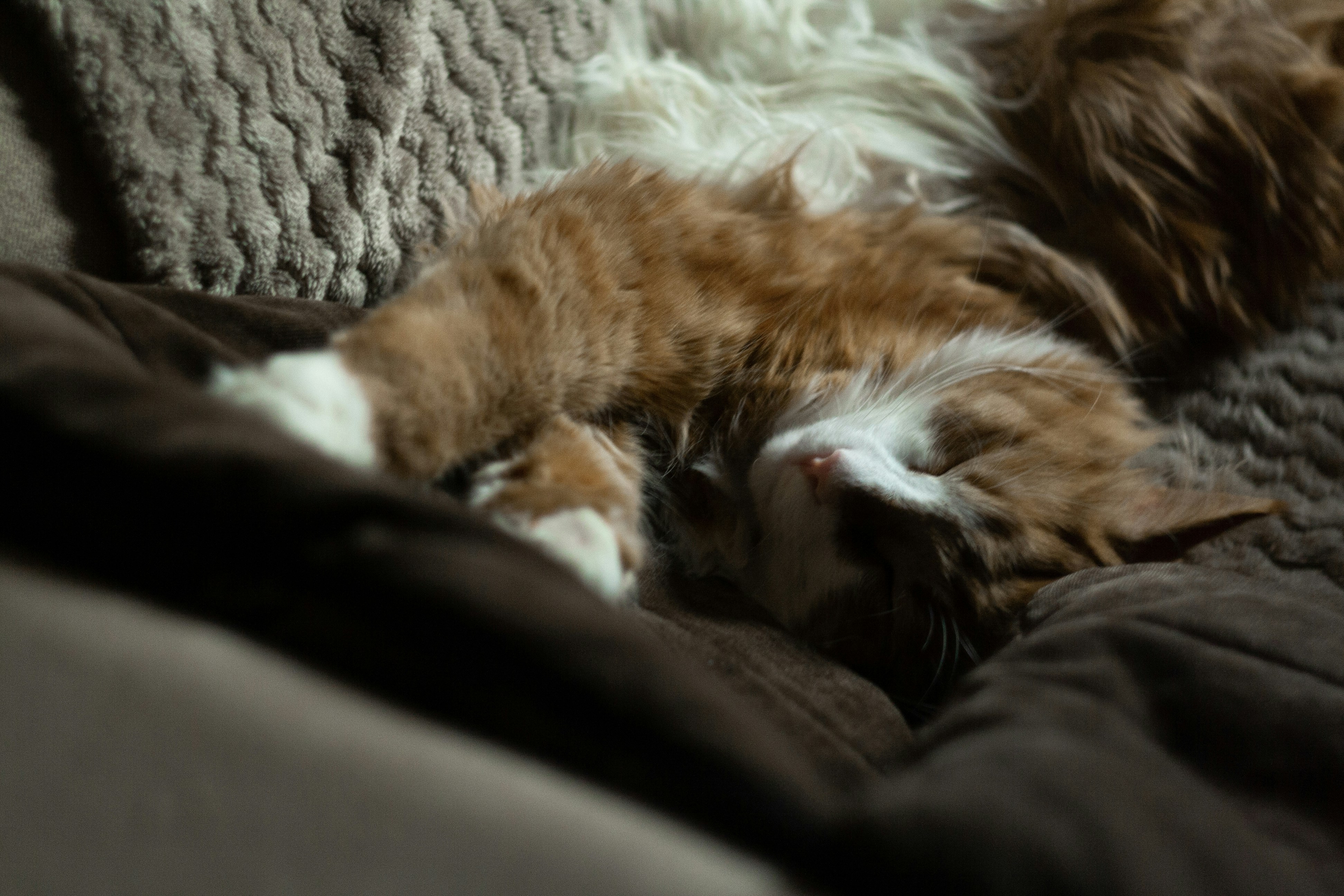 Photo by antohakraev