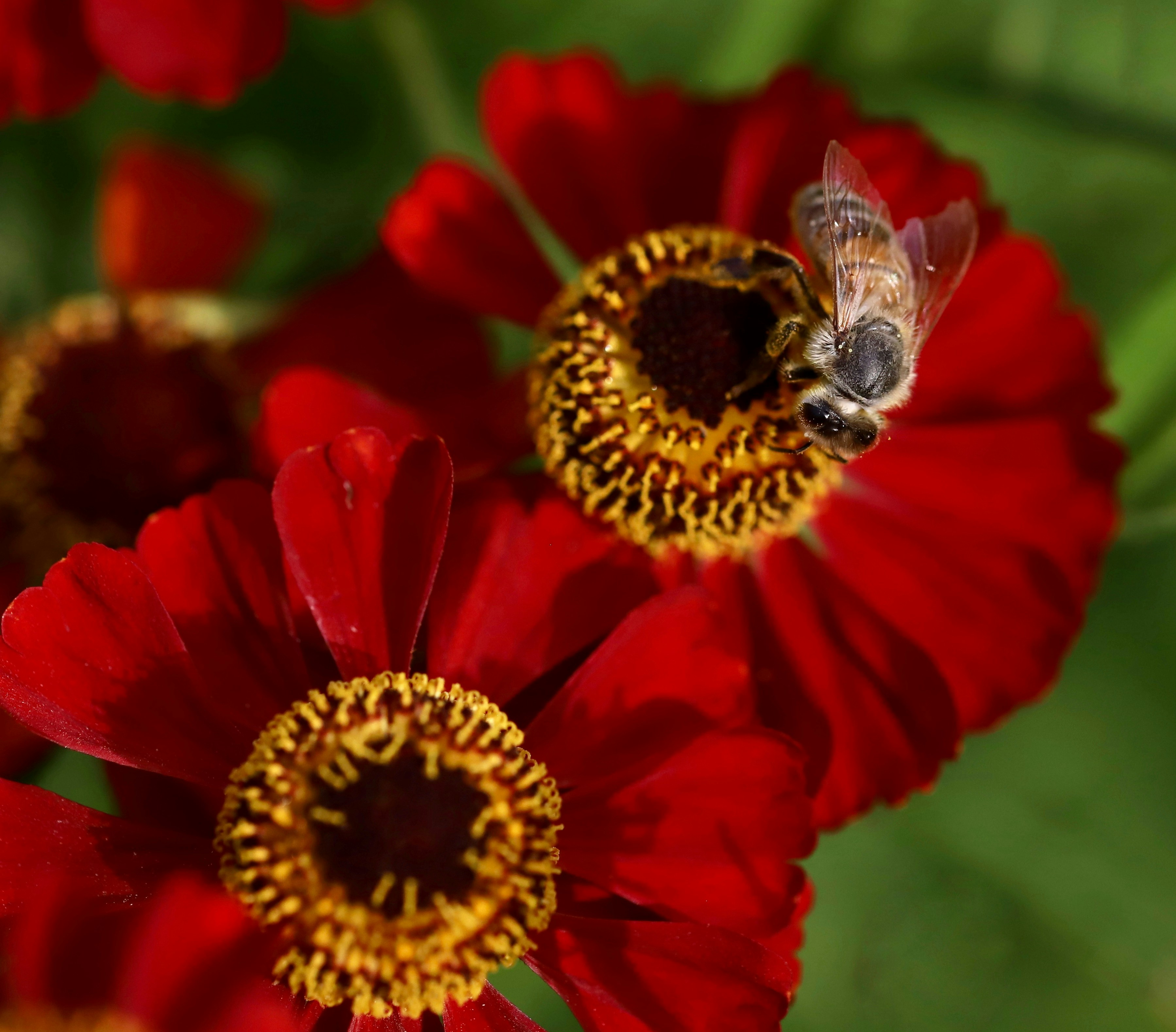 Photo by hdbernd