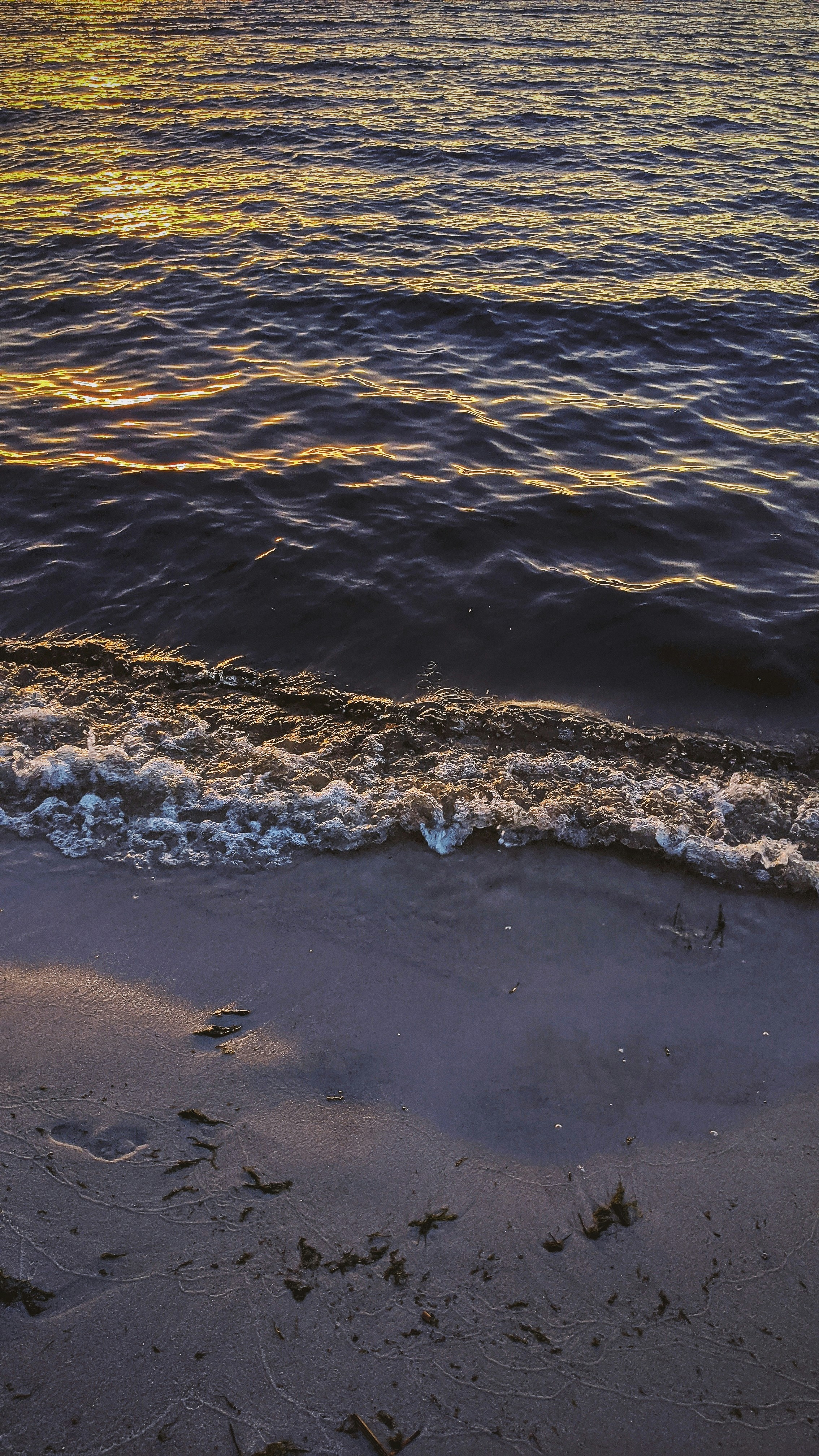 Photo by olenkasergienko