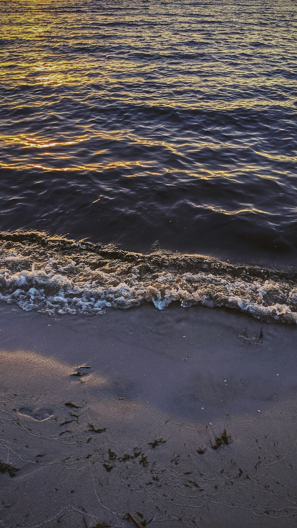 a body of water sitting next to a sandy beach