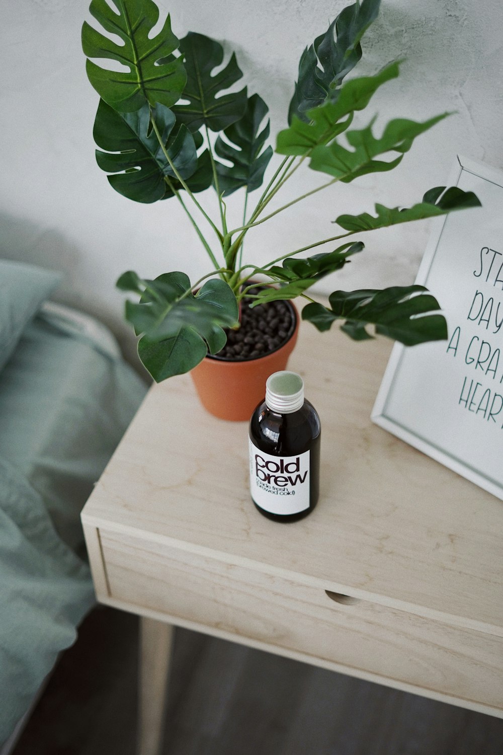 a potted plant sitting on top of a wooden table