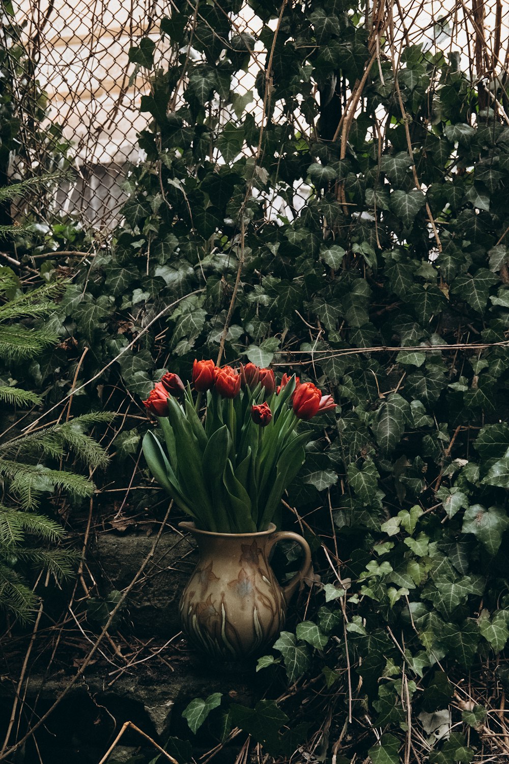 um vaso cheio de flores vermelhas cercado por vegetação