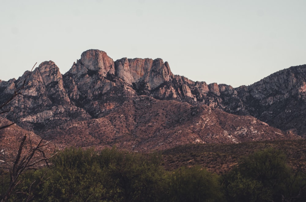 a mountain range with trees and bushes in the foreground