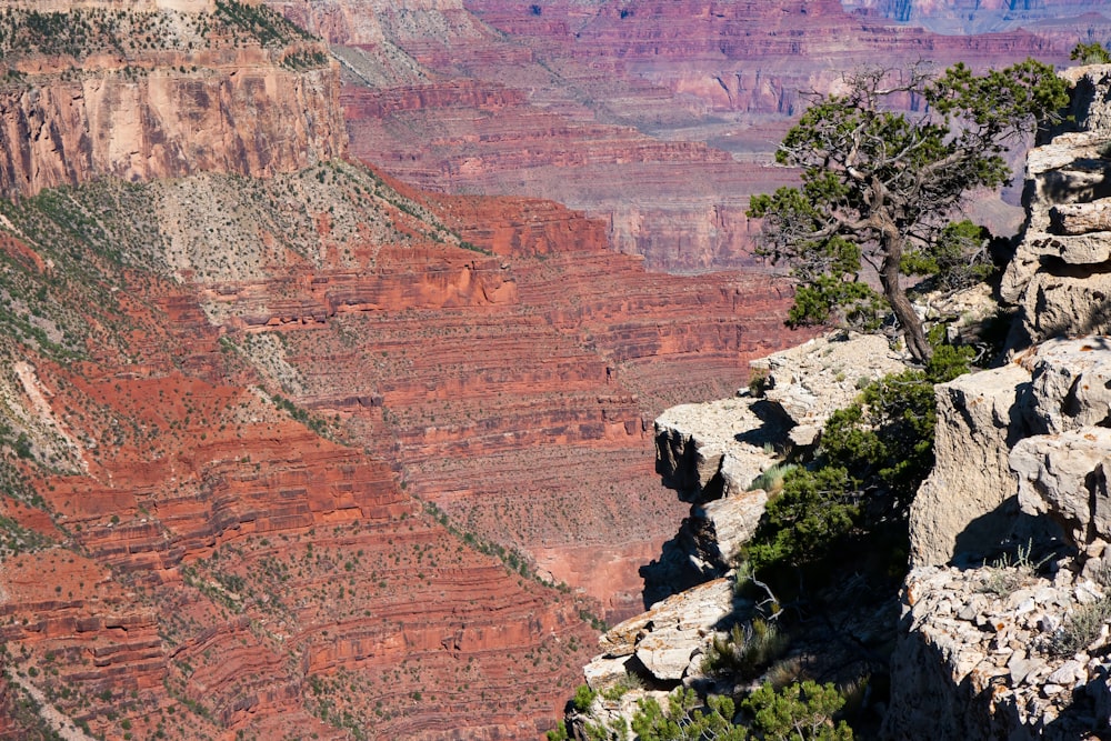 Blick auf den Grand Canyon von der Spitze eines Berges