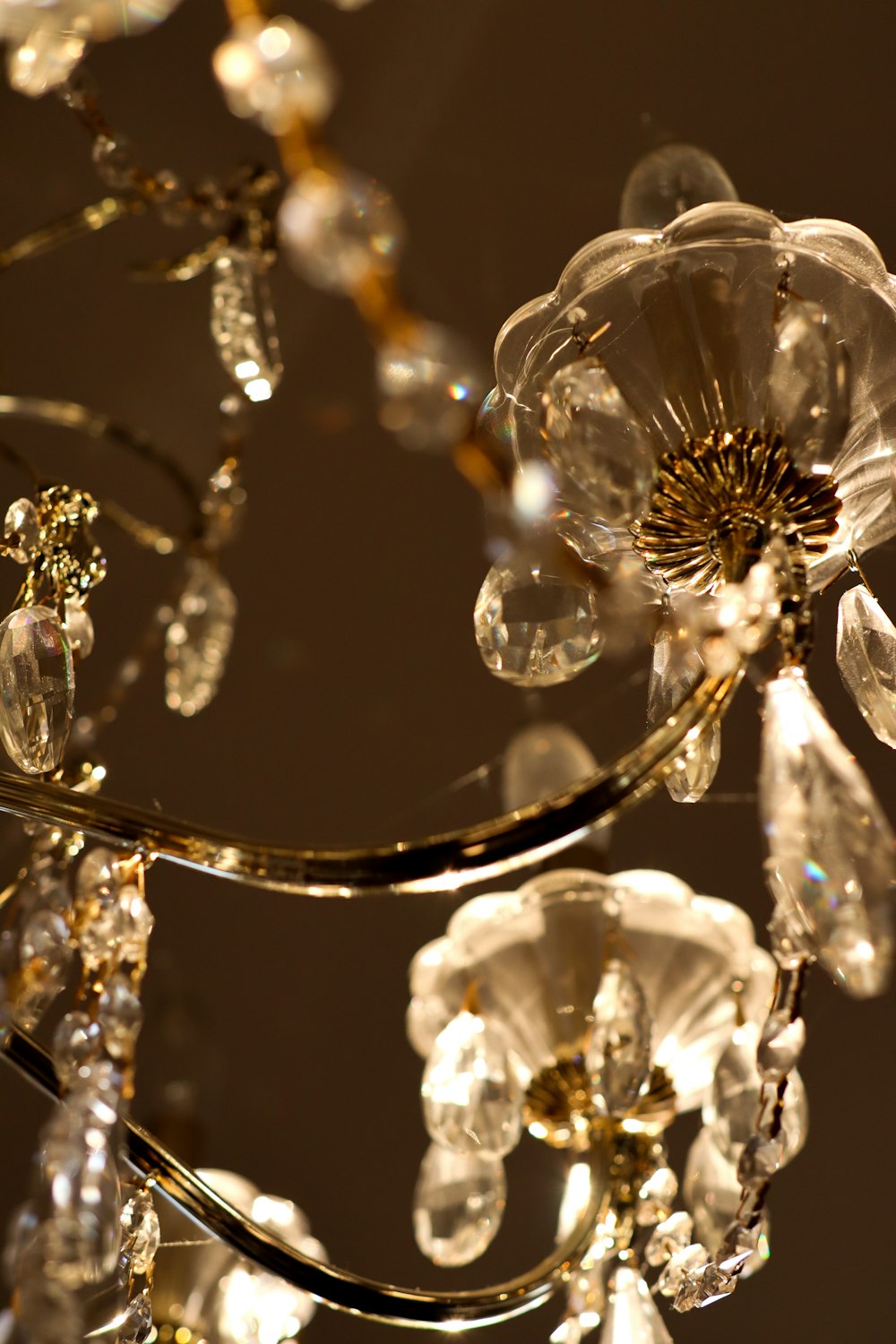 a chandelier with crystal flowers hanging from it