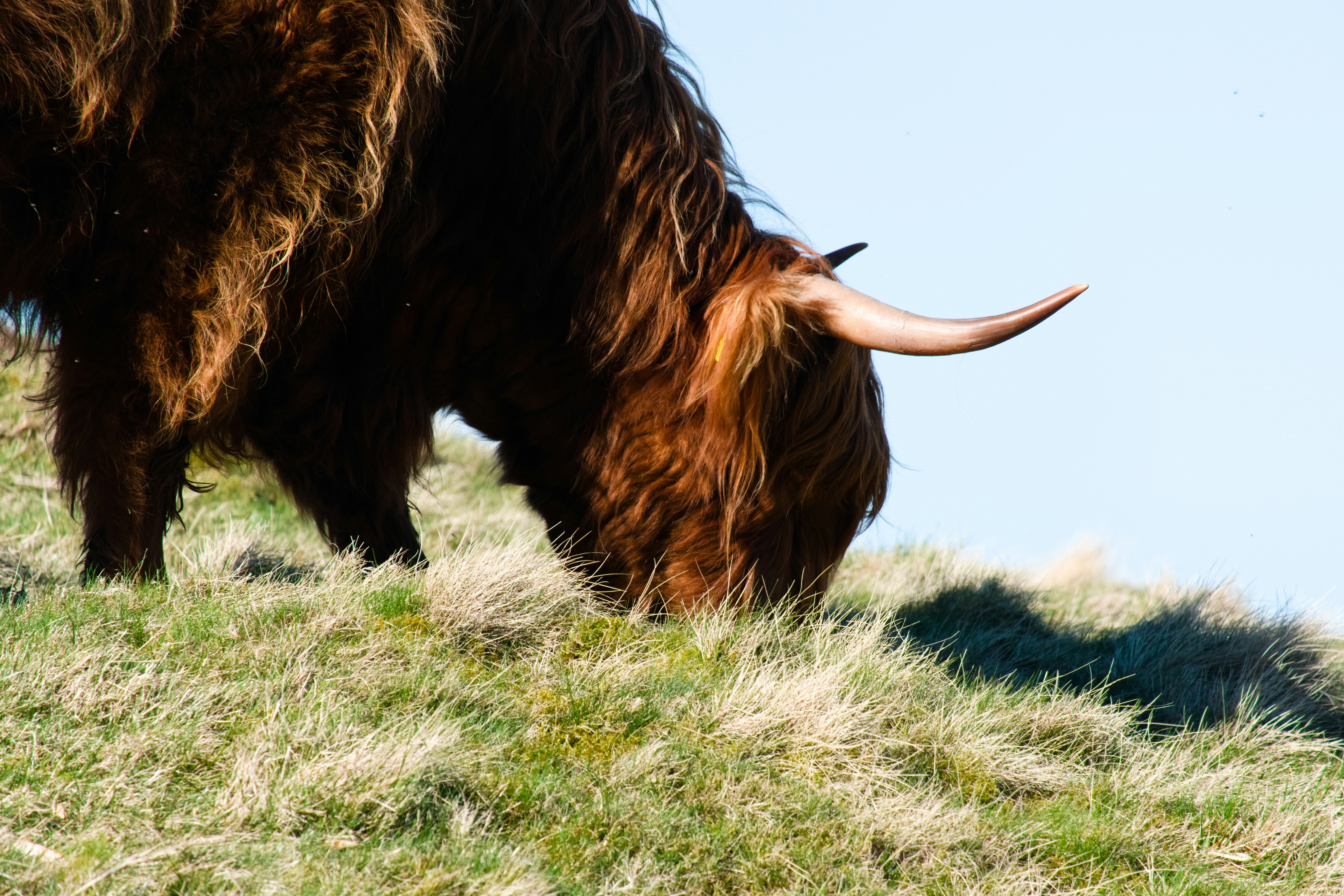 Photo by zaralazarov