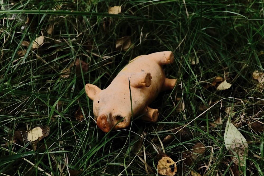 a toy pig is laying in the grass