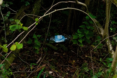 A discarded plastic bottle lies on the forest floor surrounded by dense green foliage. Branches and twigs crisscross above, adding to the tangled, somewhat untidy appearance of the undergrowth. The scene has an unkempt and neglected feel, highlighting the presence of litter in a natural setting.